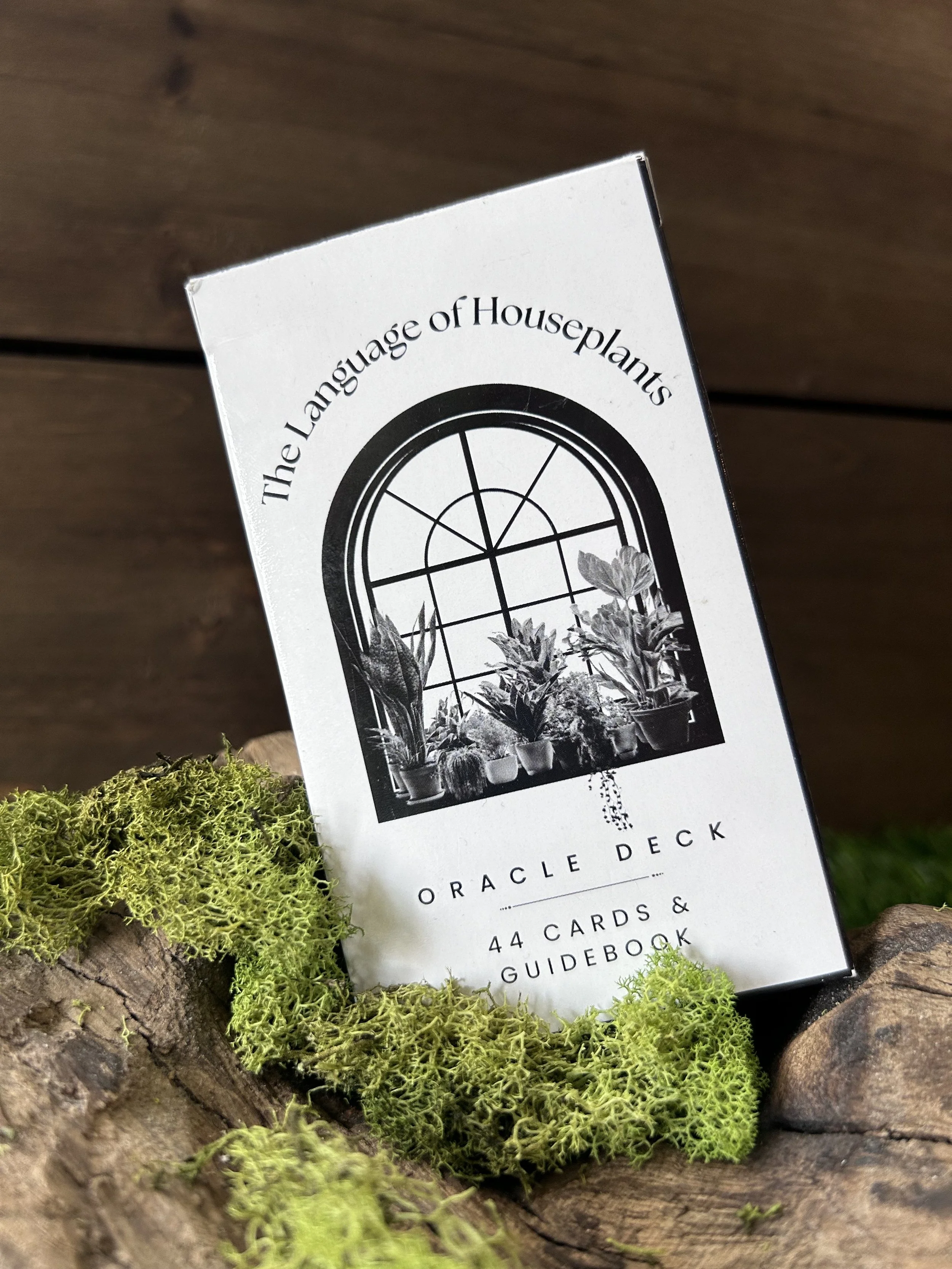 The Language of Houseplants