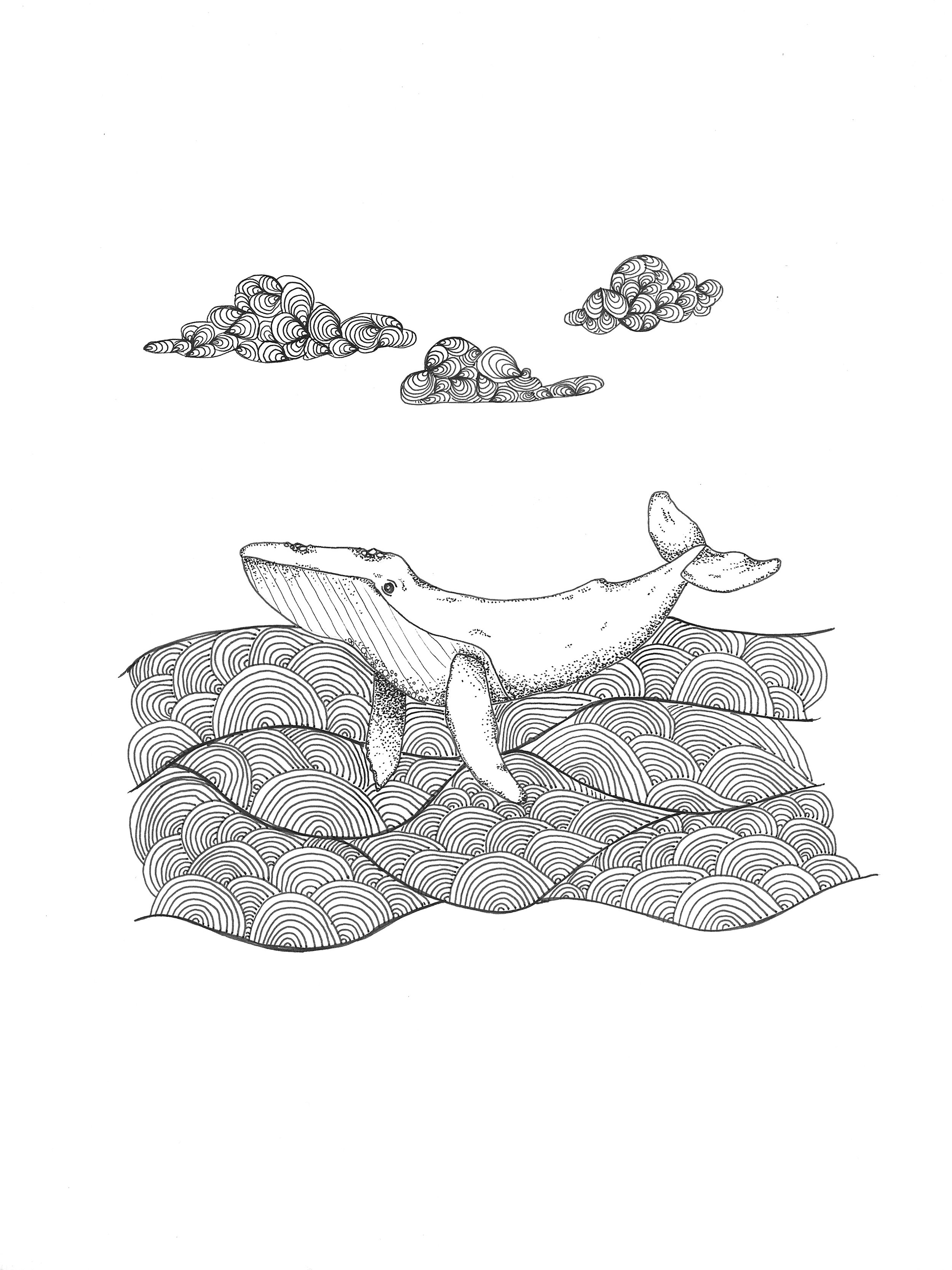 Whale