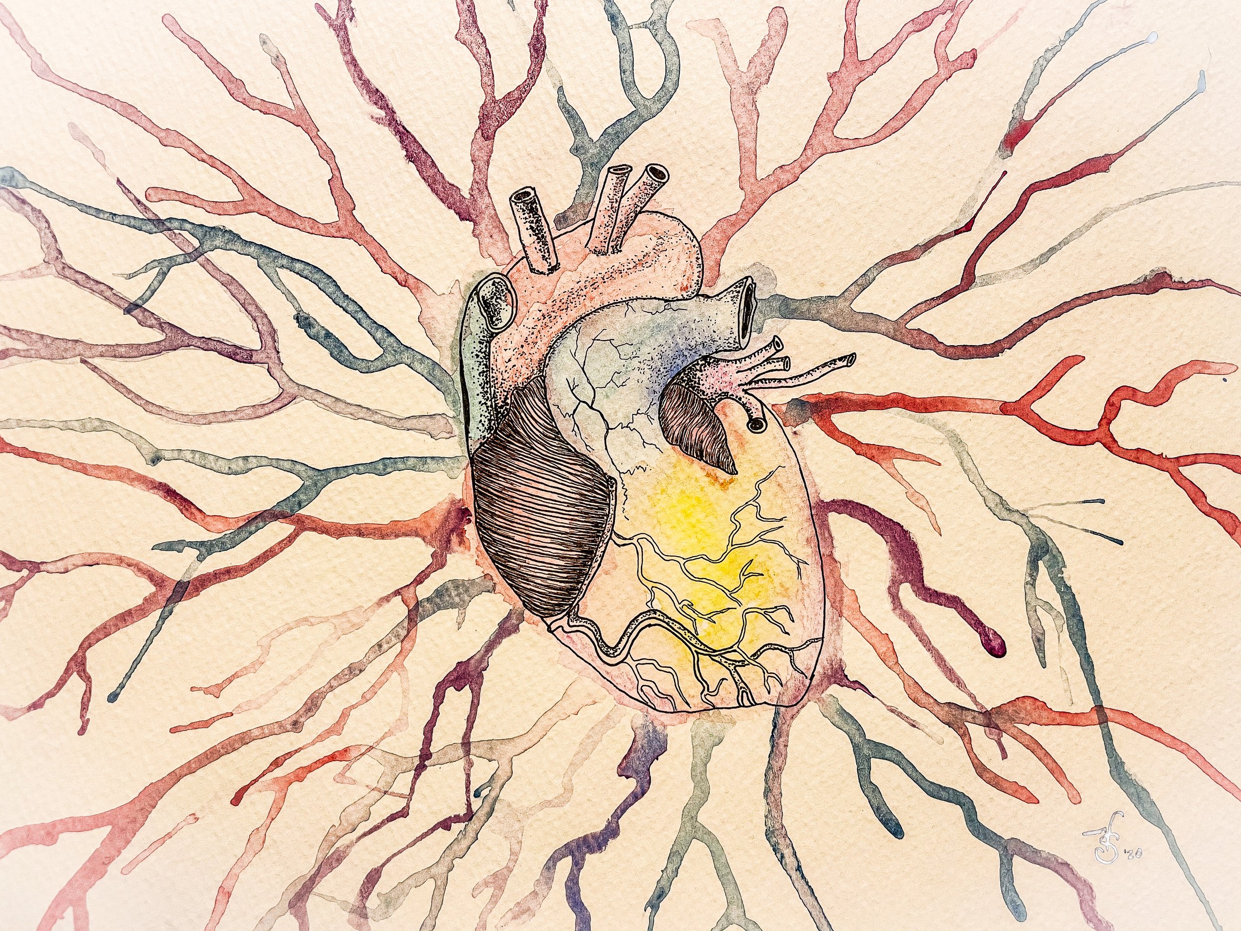Cardiac Heart