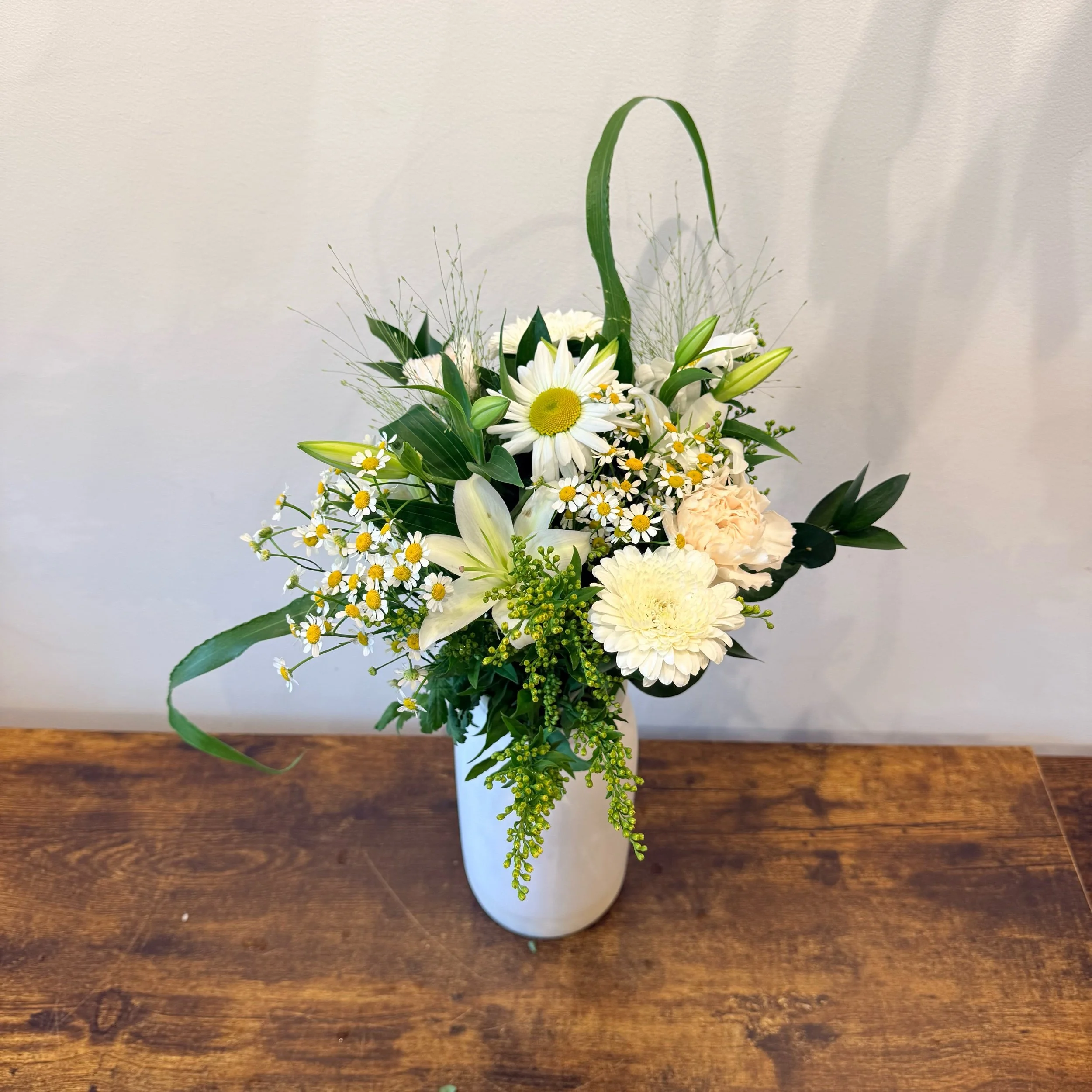 daisy des champs