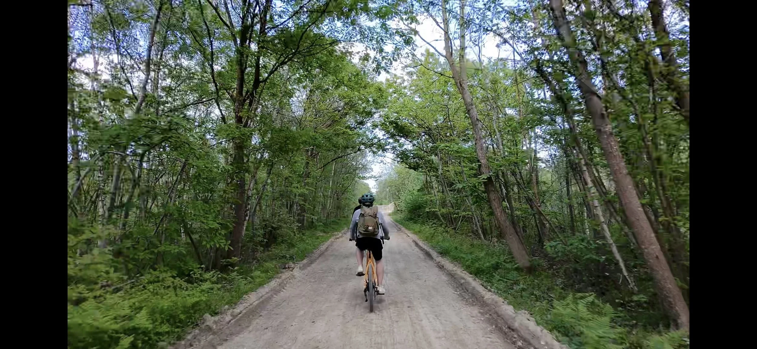 Woodland cycling trail
