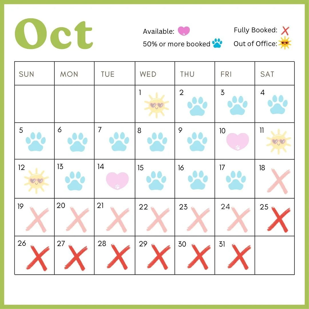 Current Availability! ✏️