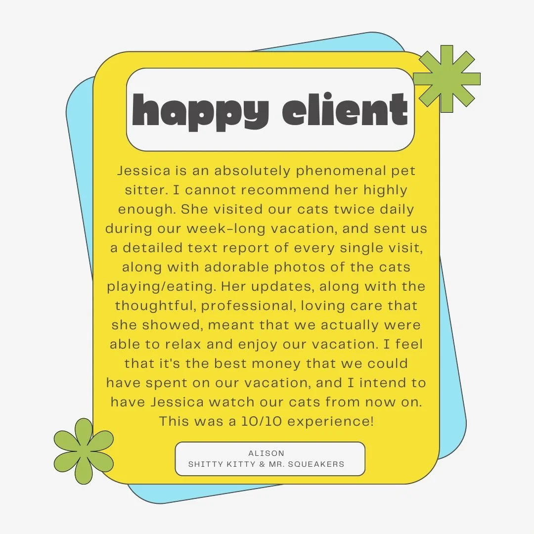 ⭐️⭐️⭐️⭐️⭐️