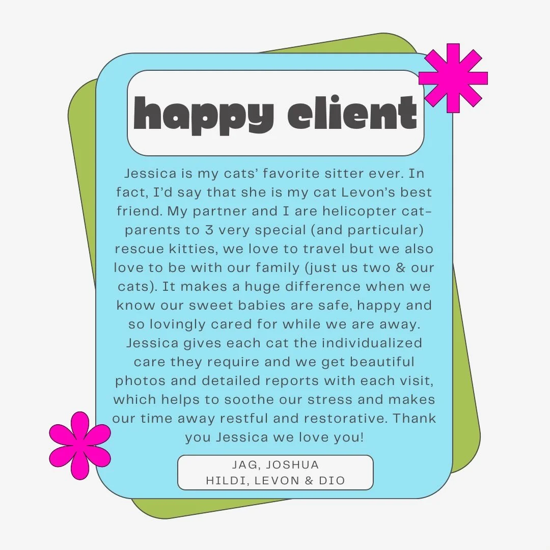 ⭐️⭐️⭐️⭐️⭐️