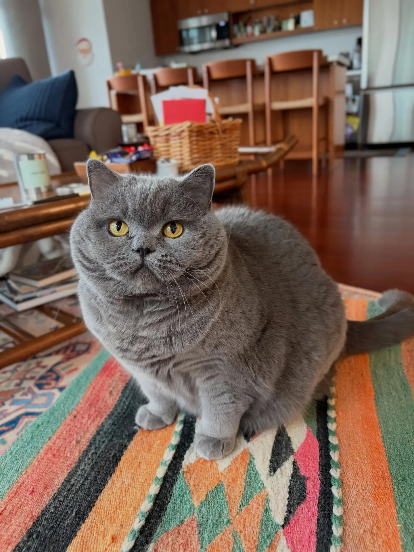 My girlfriends, Pickles &amp; Duchess 🥒💅🏽👑