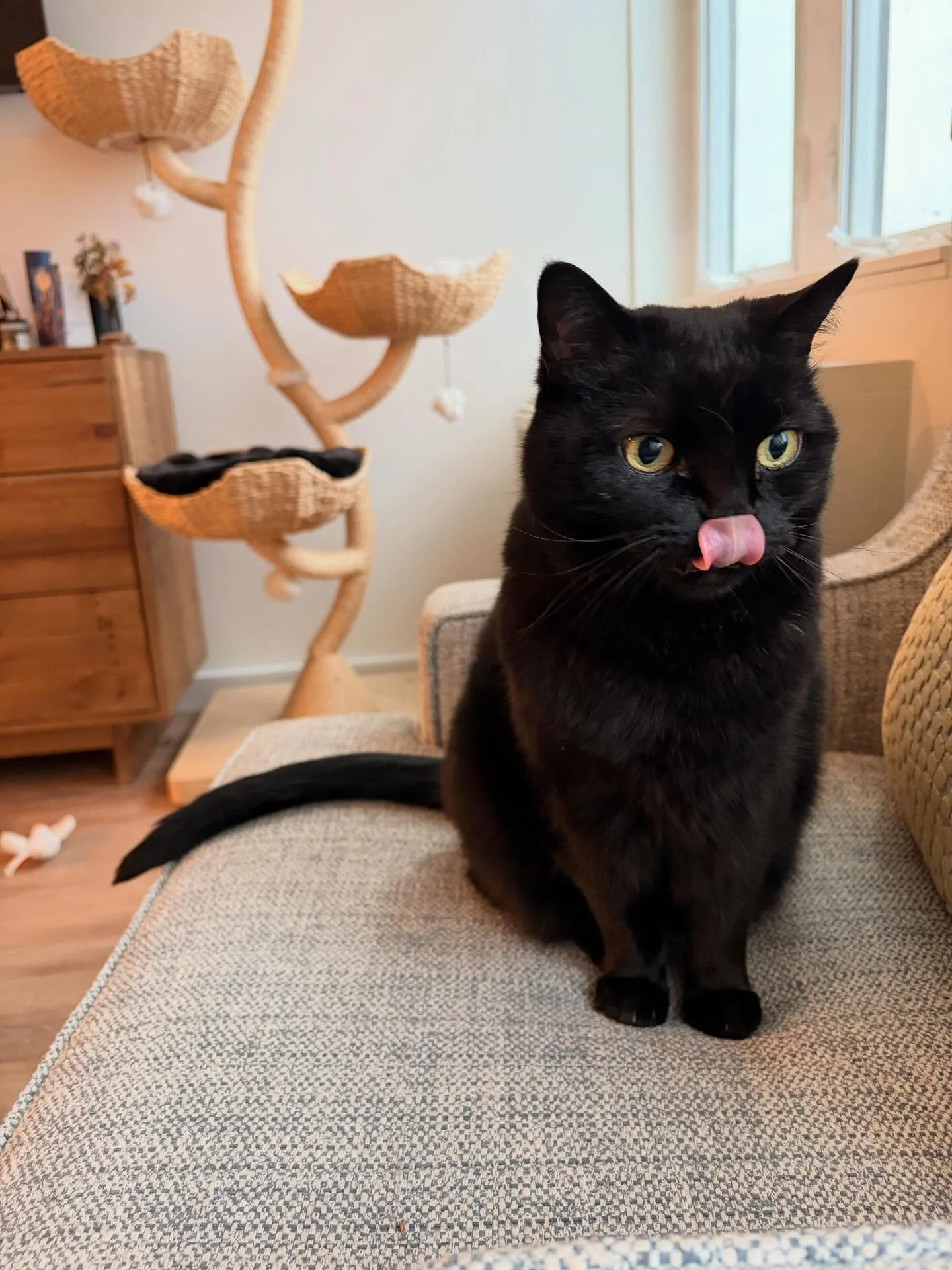 Nobody:
Ben: 😳💛💚