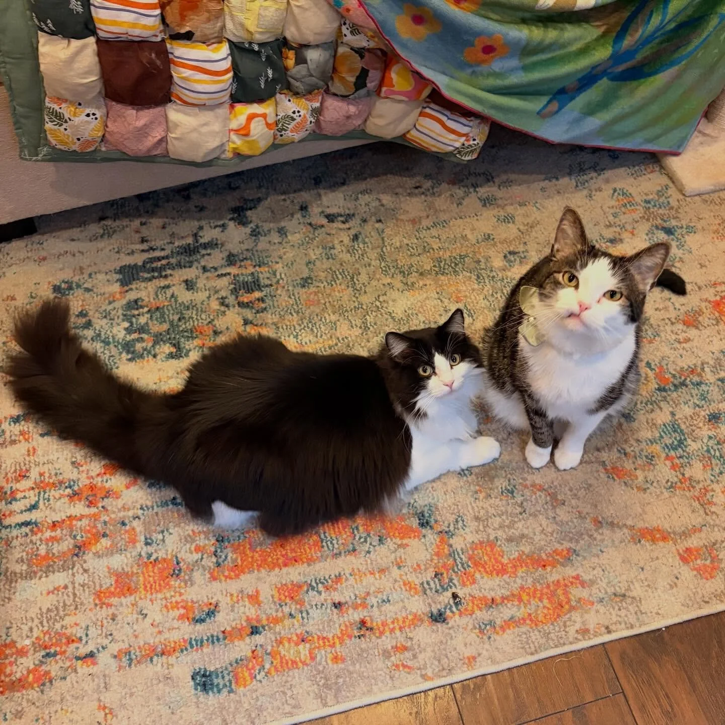 One of my fave duos: Archie &amp; Winona 🩵🩷