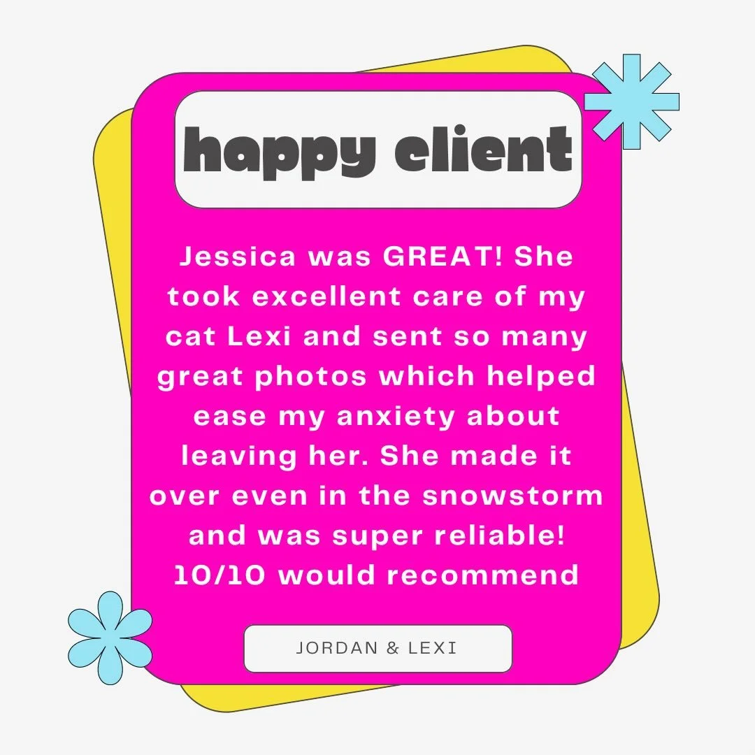 ⭐️⭐️⭐️⭐️⭐️