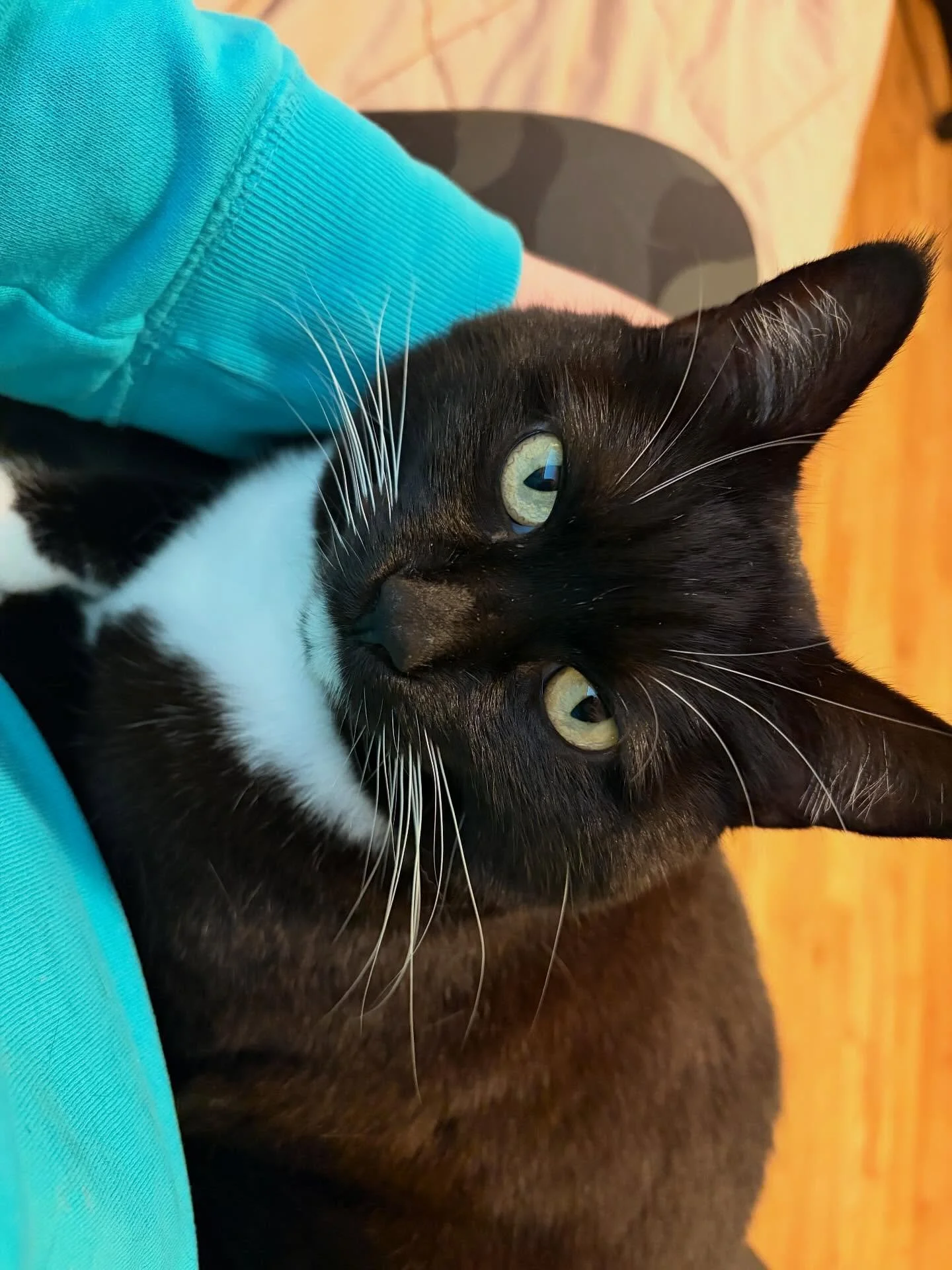 Big Ang! Love this tiny, talkative girl!