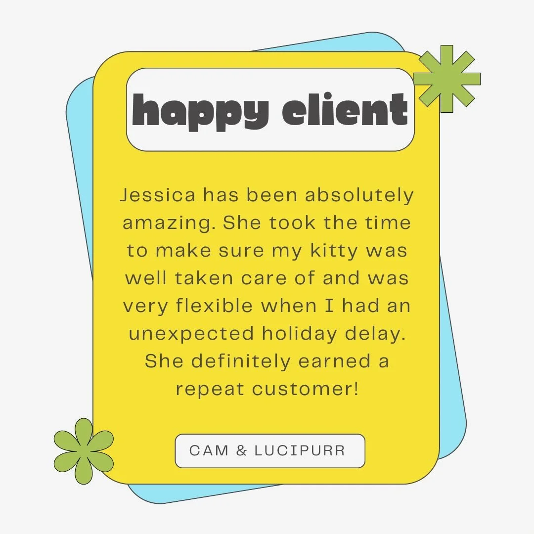 ⭐️⭐️⭐️⭐️⭐️