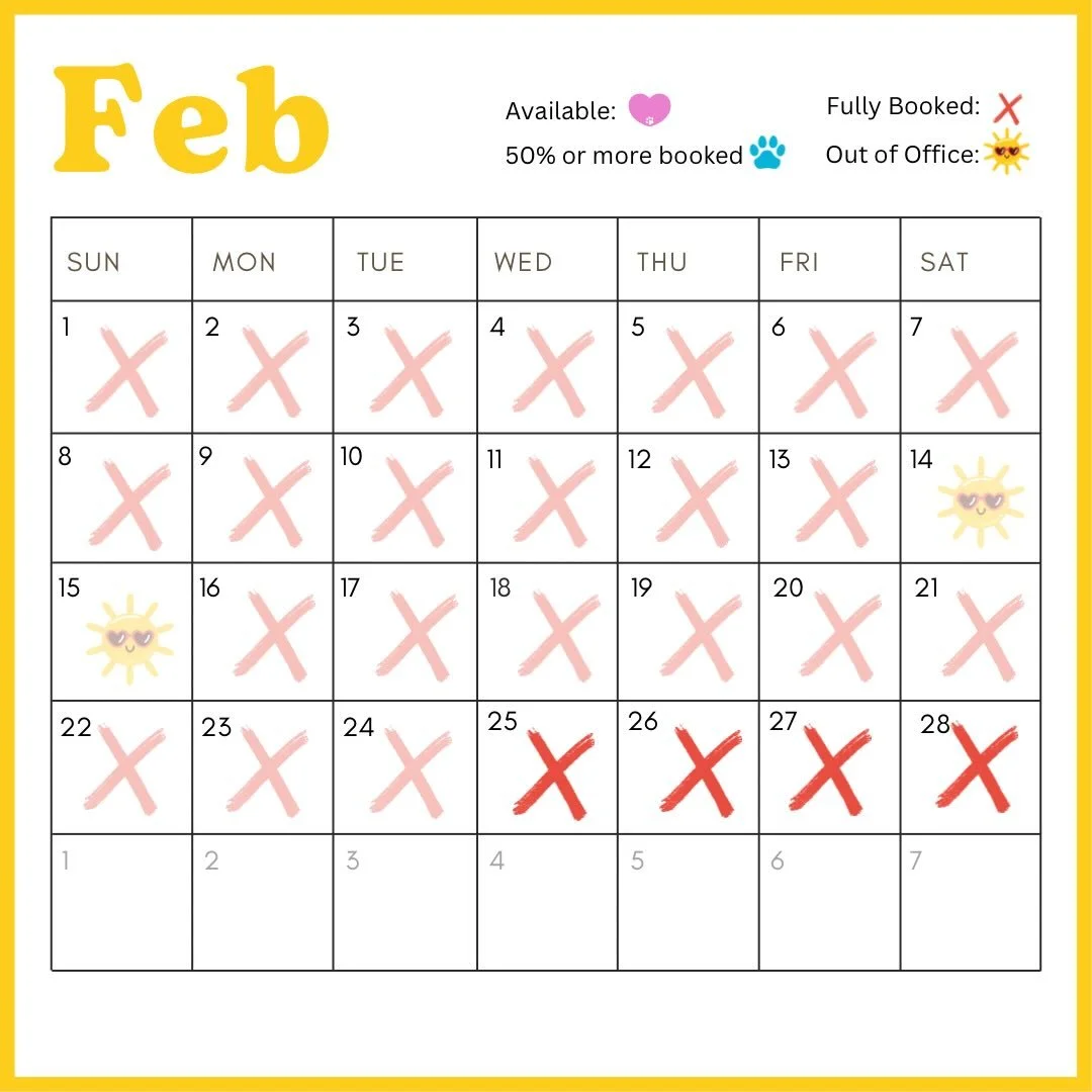 Current Availability 🐾