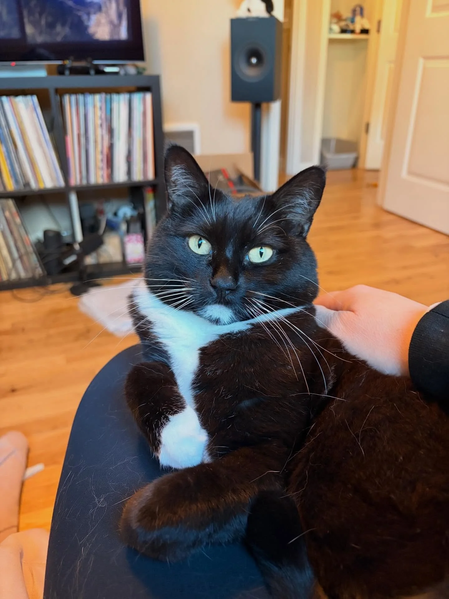 Pics from my last visit with Angelica before her big move overseas. Did I cry? Maybe. Did I cry multiple times to the point where my husband asked &ldquo;are you going to be alright?&rdquo; Ok fine, I did. I just love this little girl so much - her t