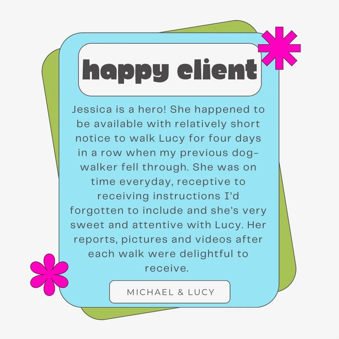 ⭐️⭐️⭐️⭐️⭐️