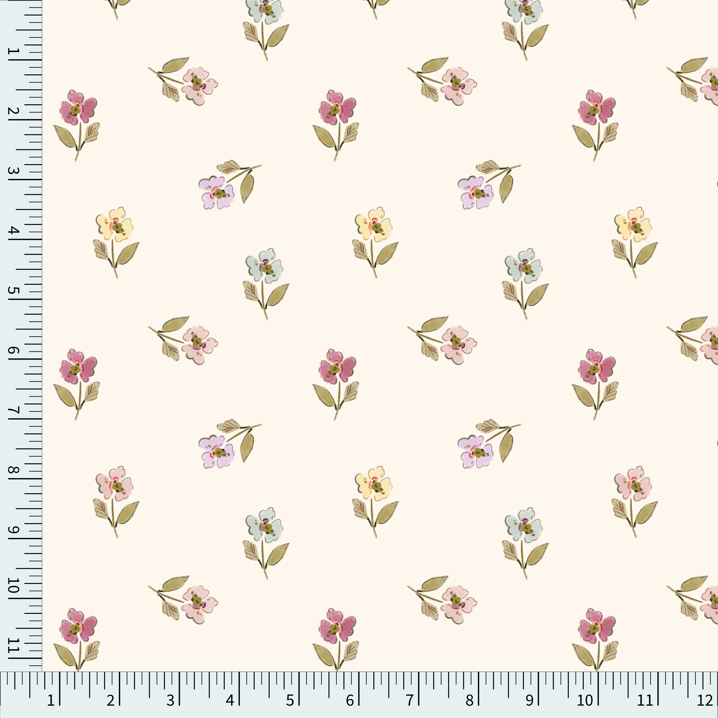 Iris Spring scale.png