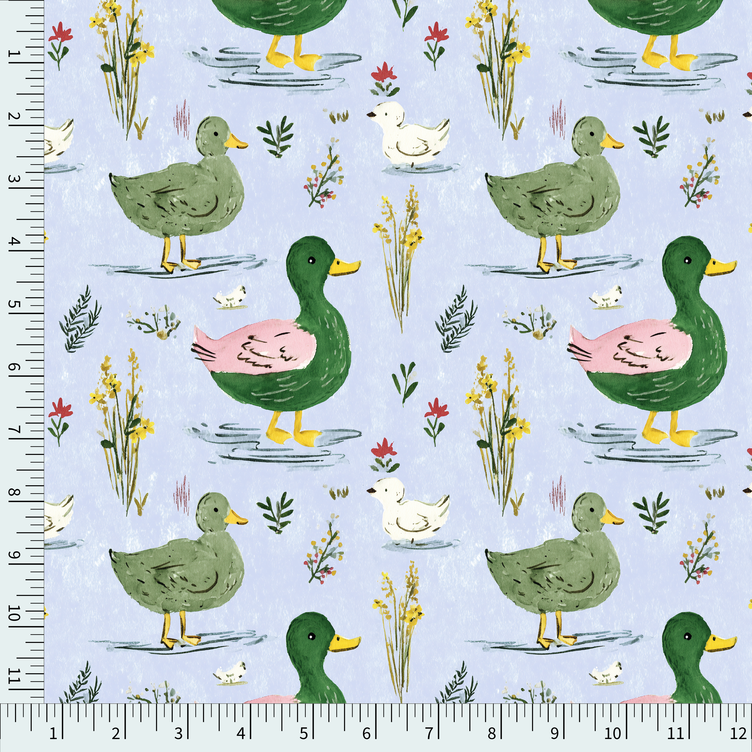 watercolor ducks scale.png