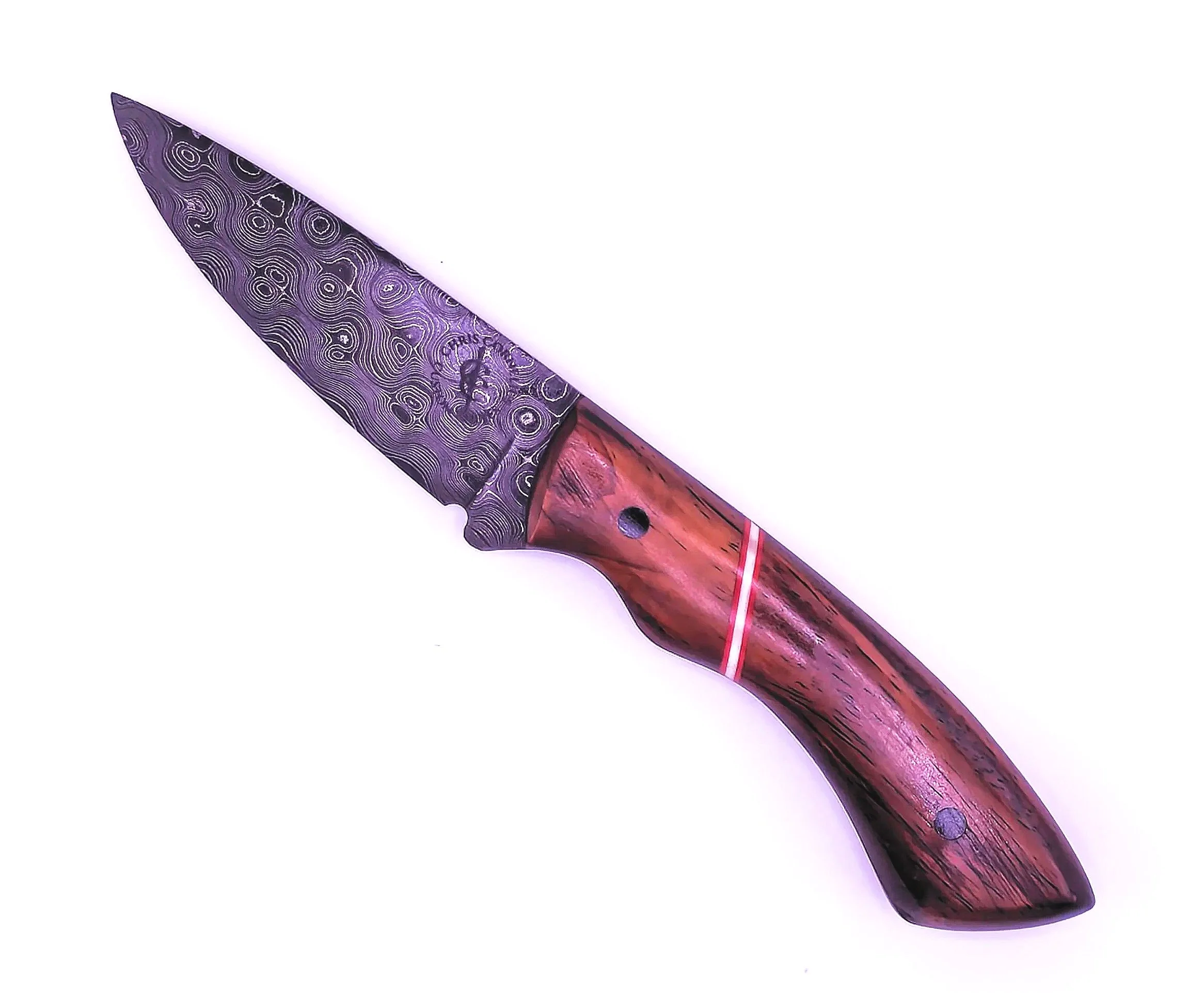 damsascuB%26D3.jpg
