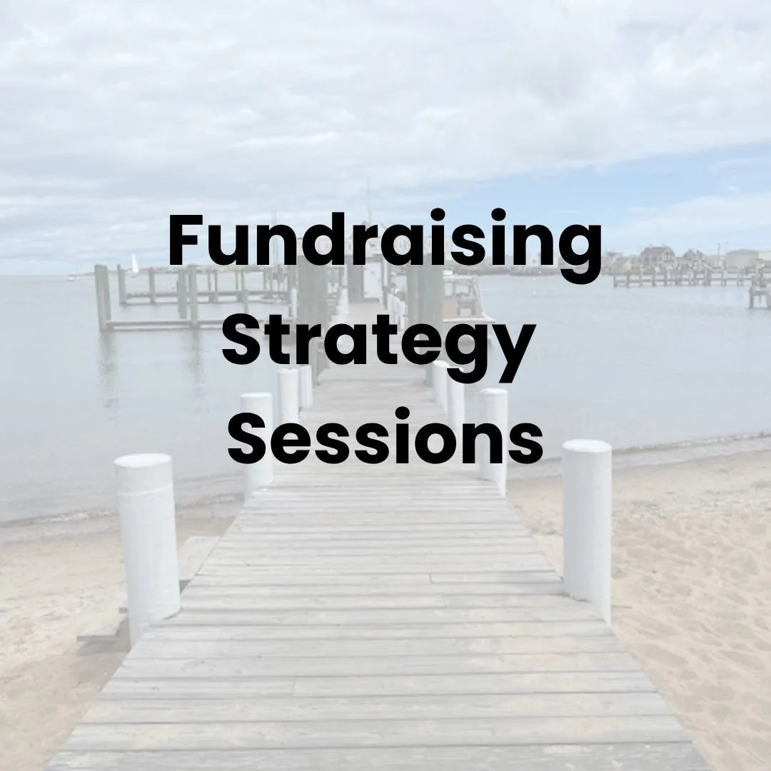 One-time Fundraising Strategy Session
