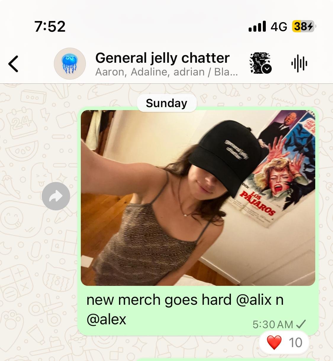 hat2.jpeg
