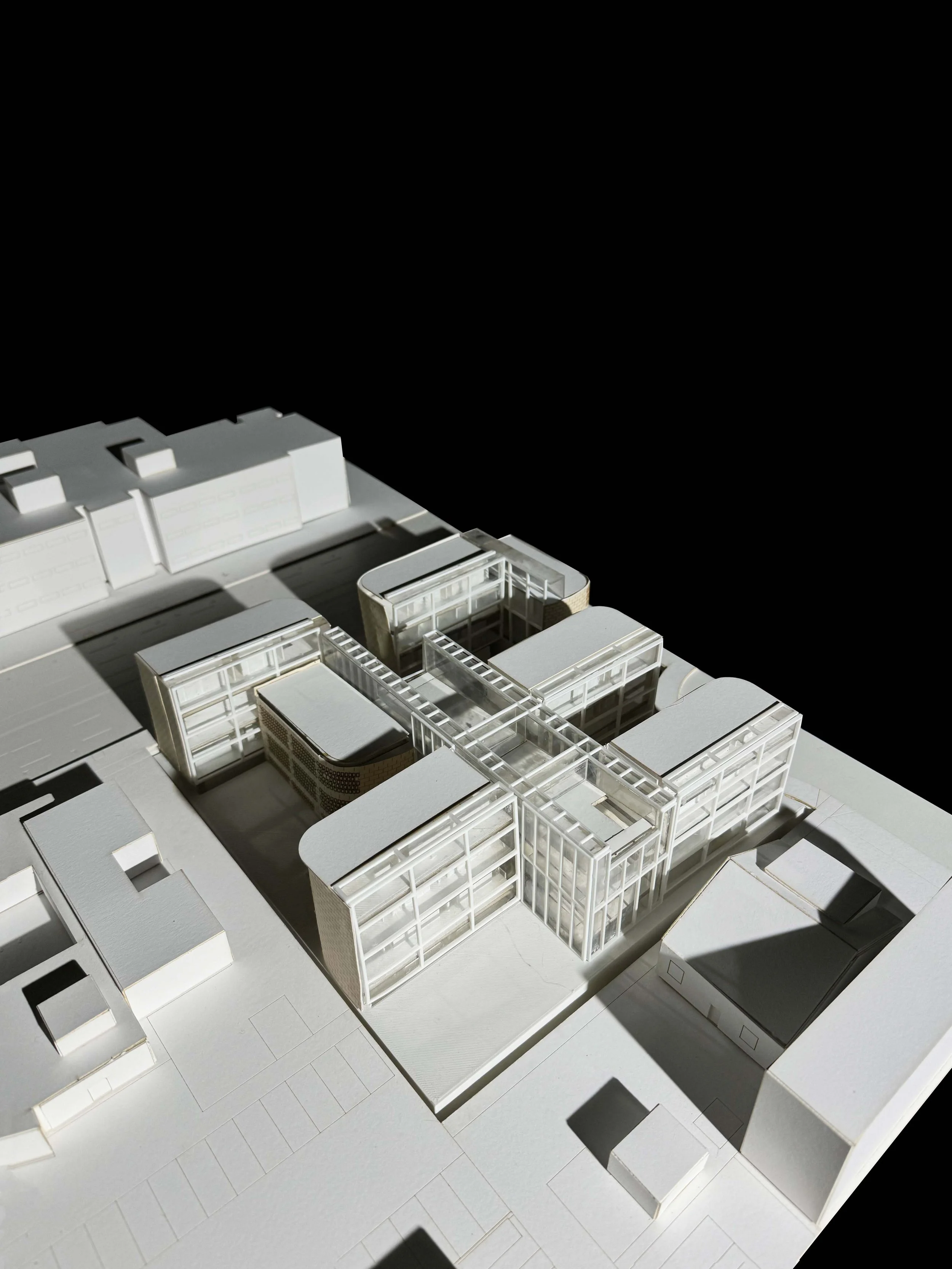 oblique with context.jpg