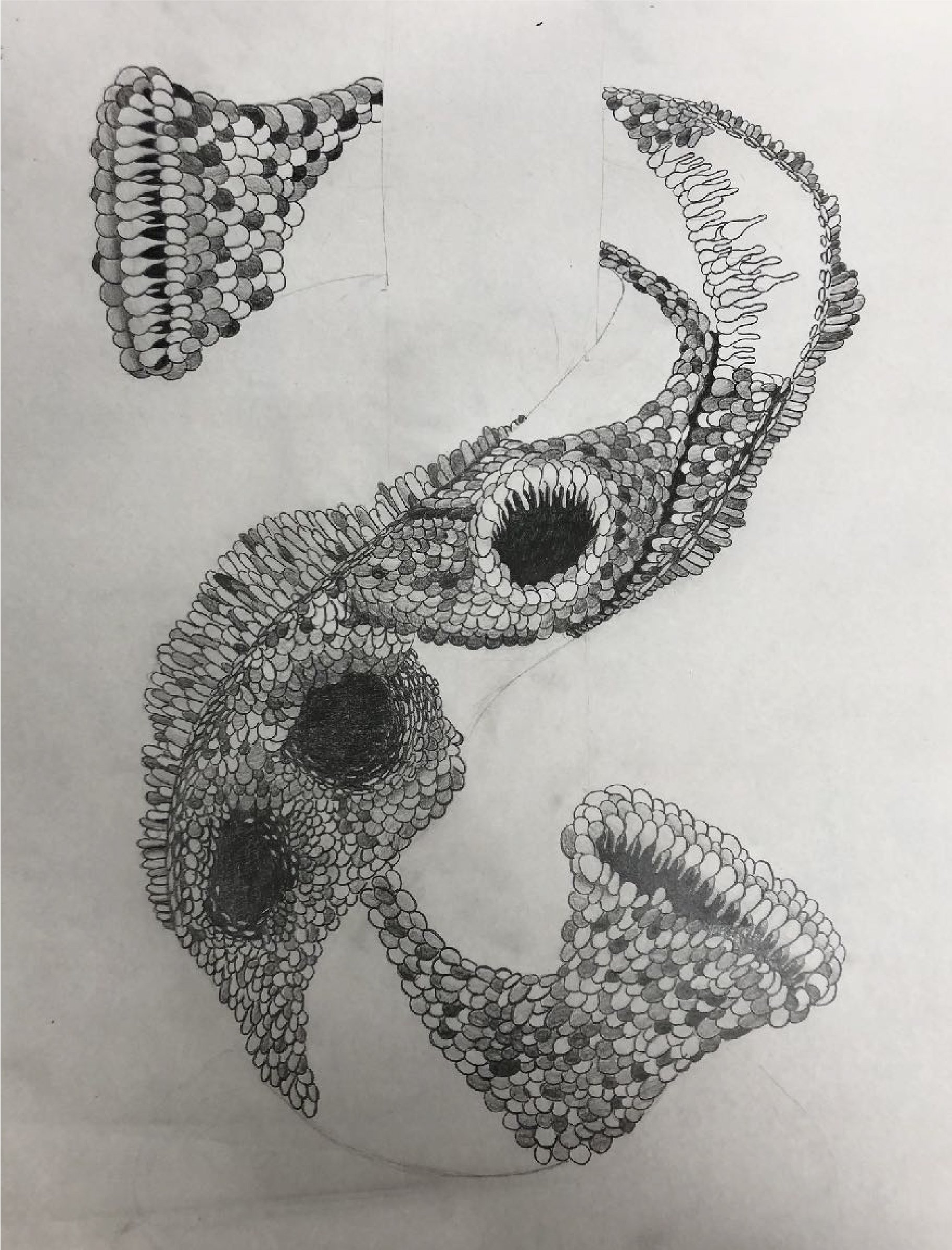 Pratt portfolio pdf (dragged) 3-01.jpg