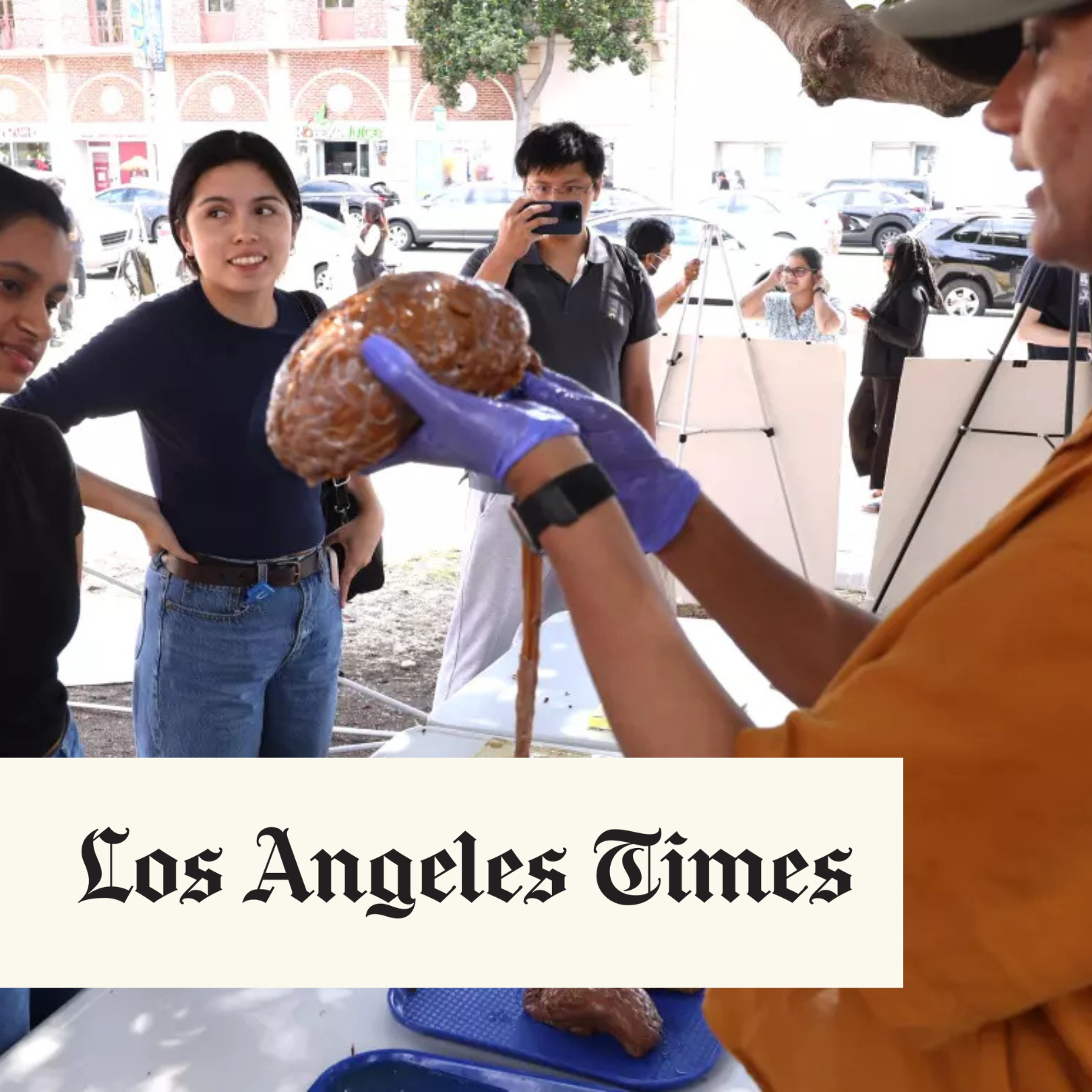 Yes, that’s a human brain on a cafeteria tray. UCLA fair shows off science cuts under Trump