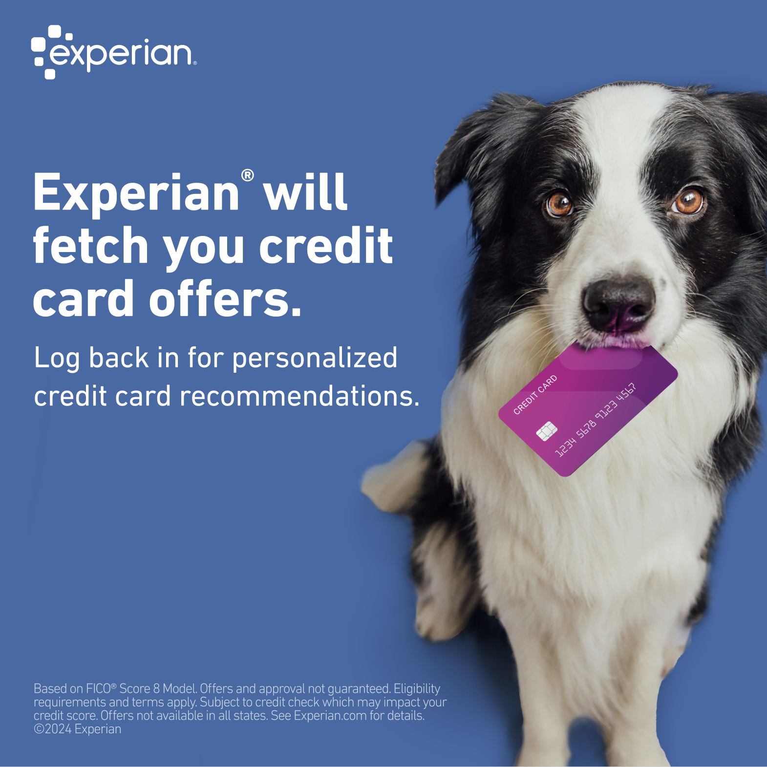 Experian Fetch.png
