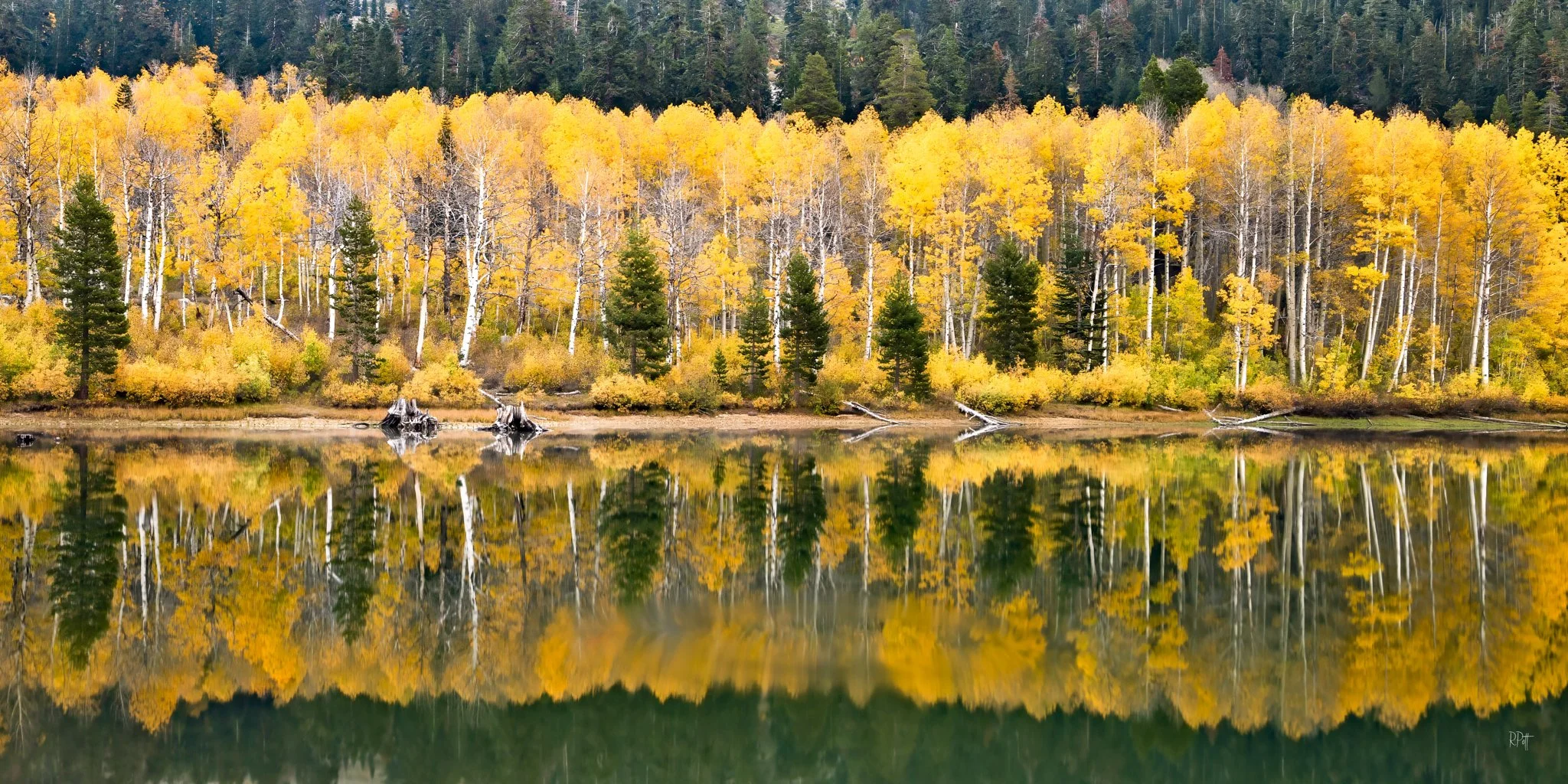 Fall at Marlette Lake