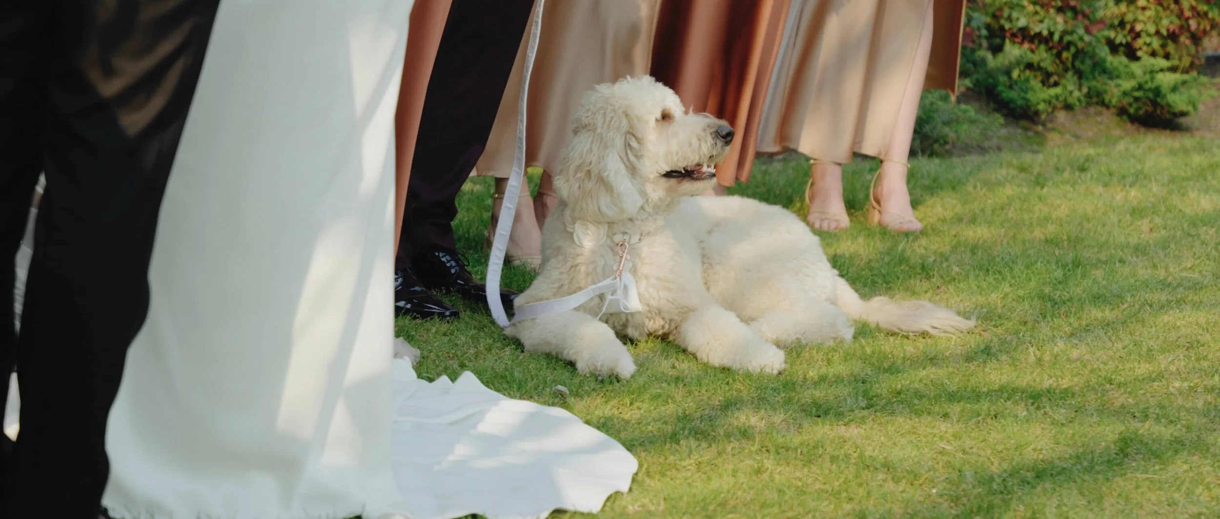 Screenshot 2026-04-18 at 9.18.jpg