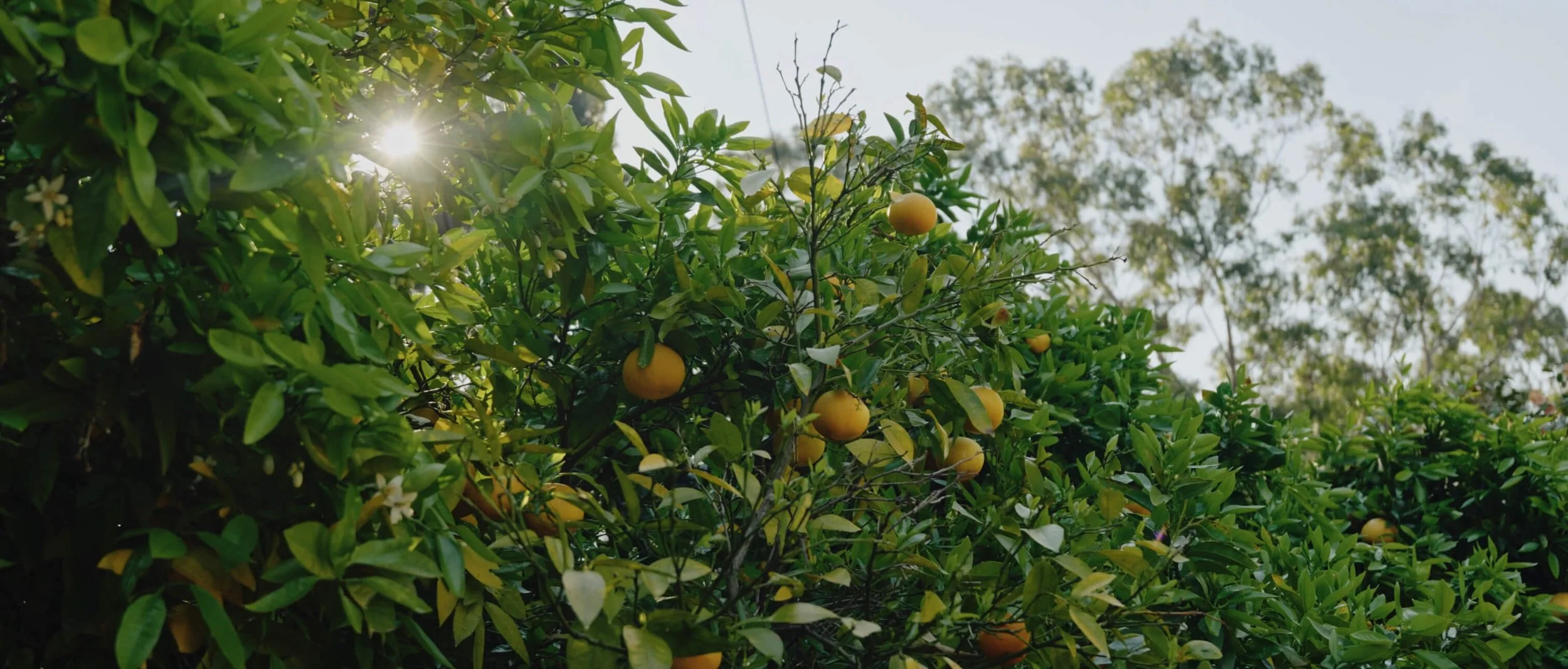 Screenshot 2026-04-18 at 9.11.jpg