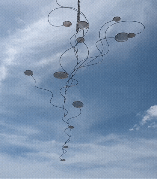 GIF_20240302_205527_040.gif