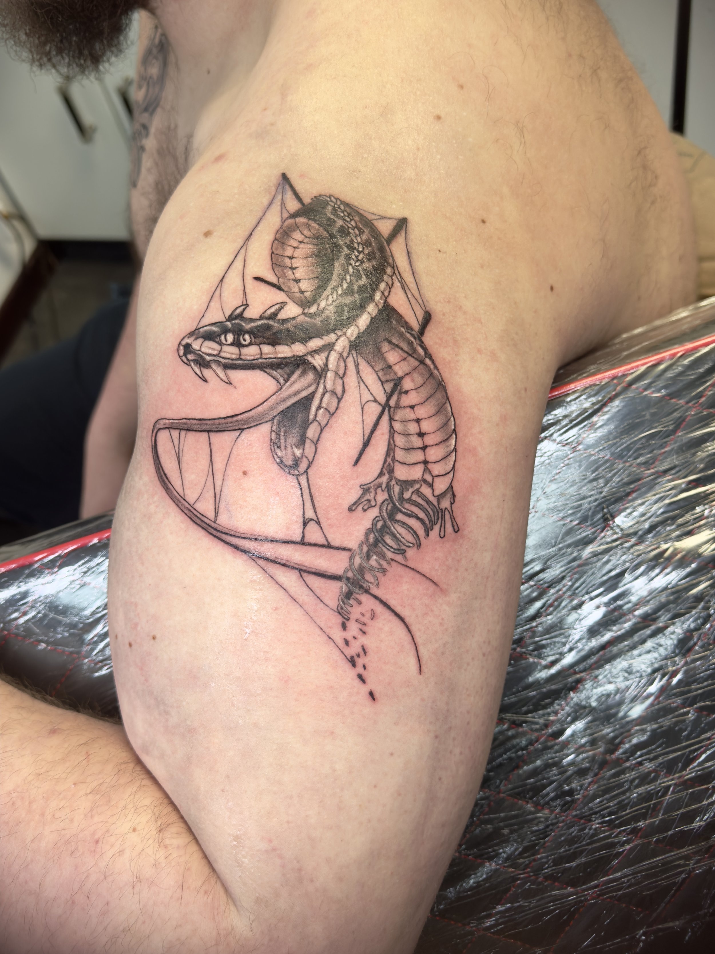 Black and gray tattoo of a snake intertwined with a spider web on a person's upper arm.