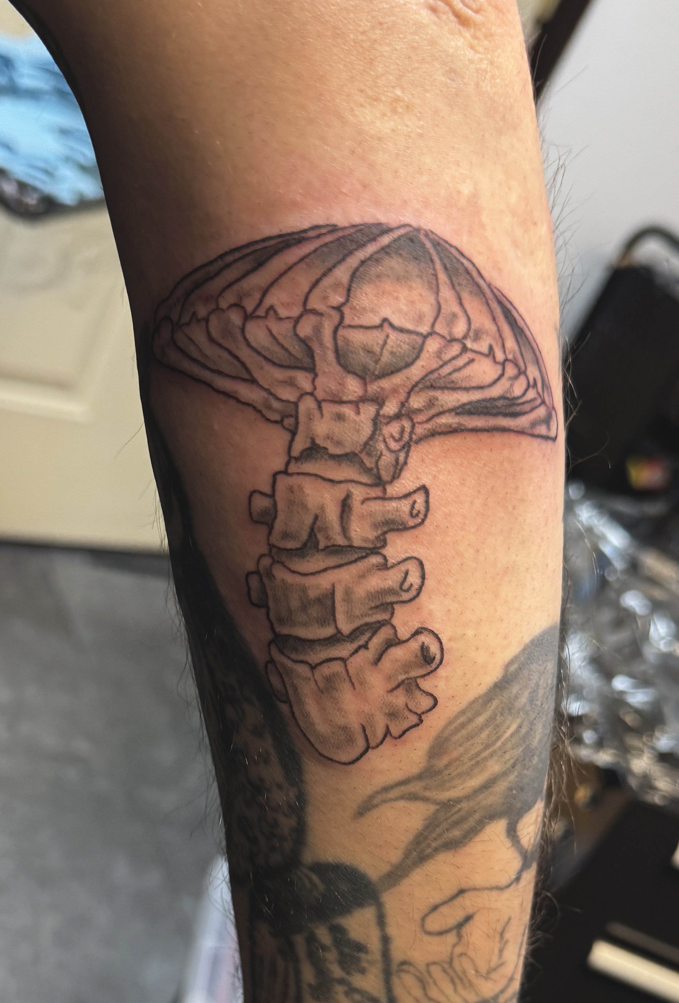 Tattoo of a human brain with spinal cord on person's arm.