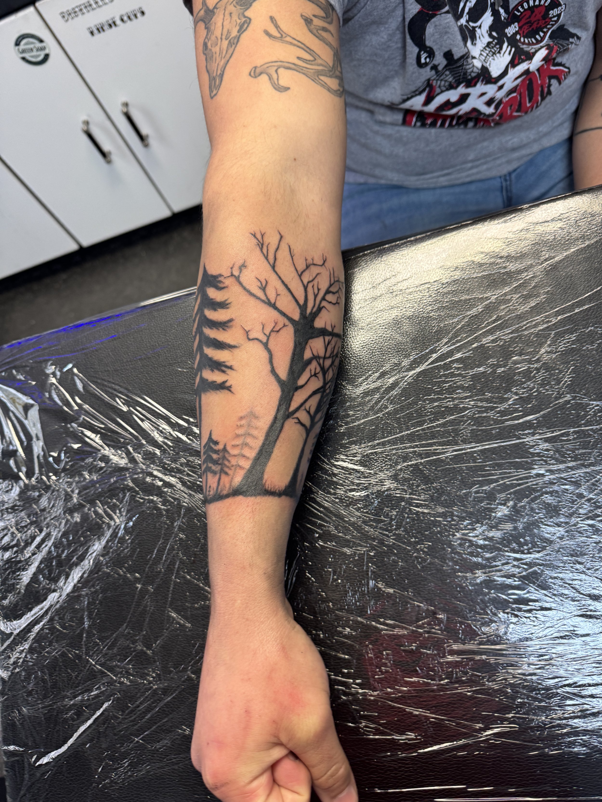 Tattoo of a leafless tree with some pine trees in the background on a person's forearm.