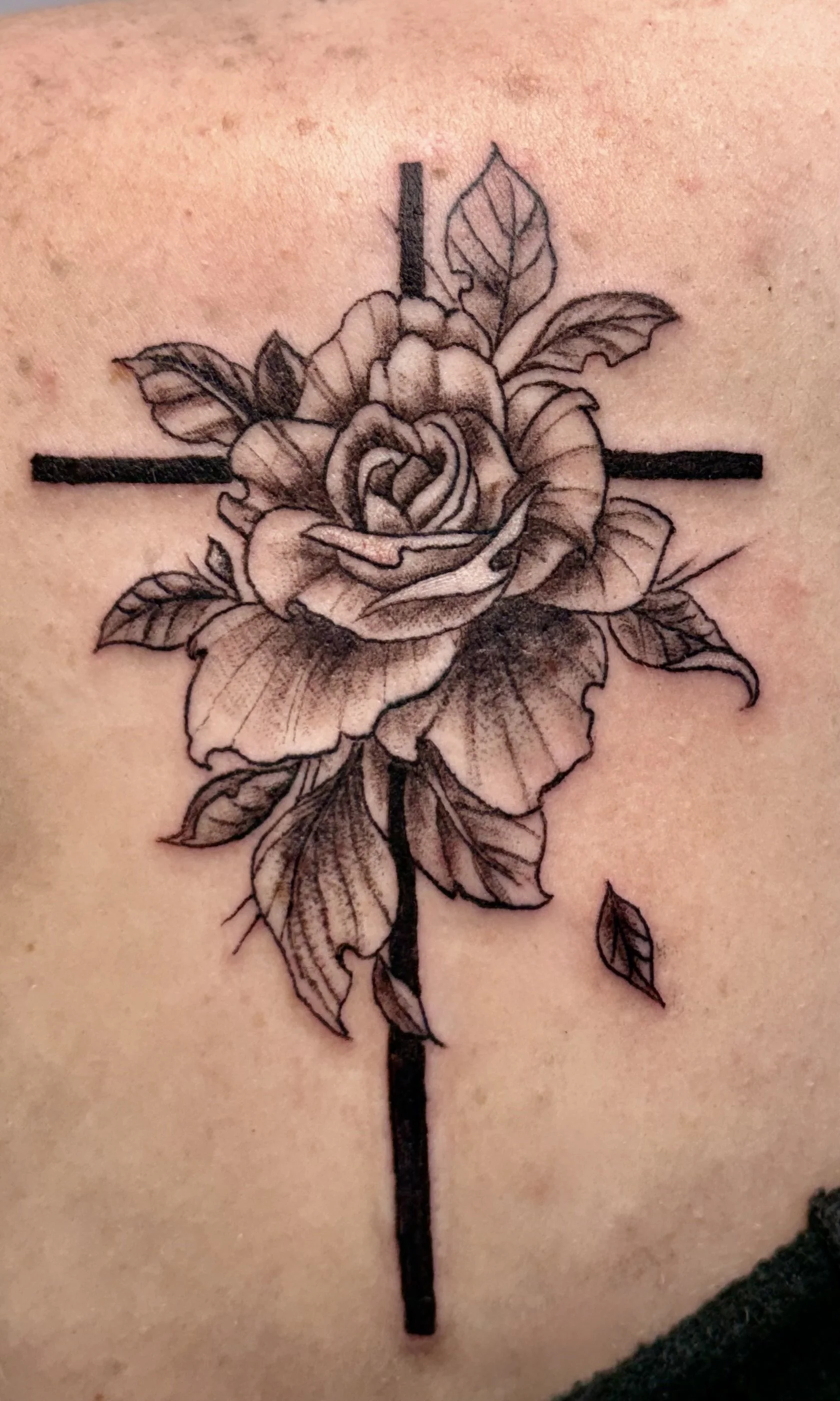 Black and gray tattoo of a rose with leaves and thorns, with a black horizontal line crossing through the middle of the rose.