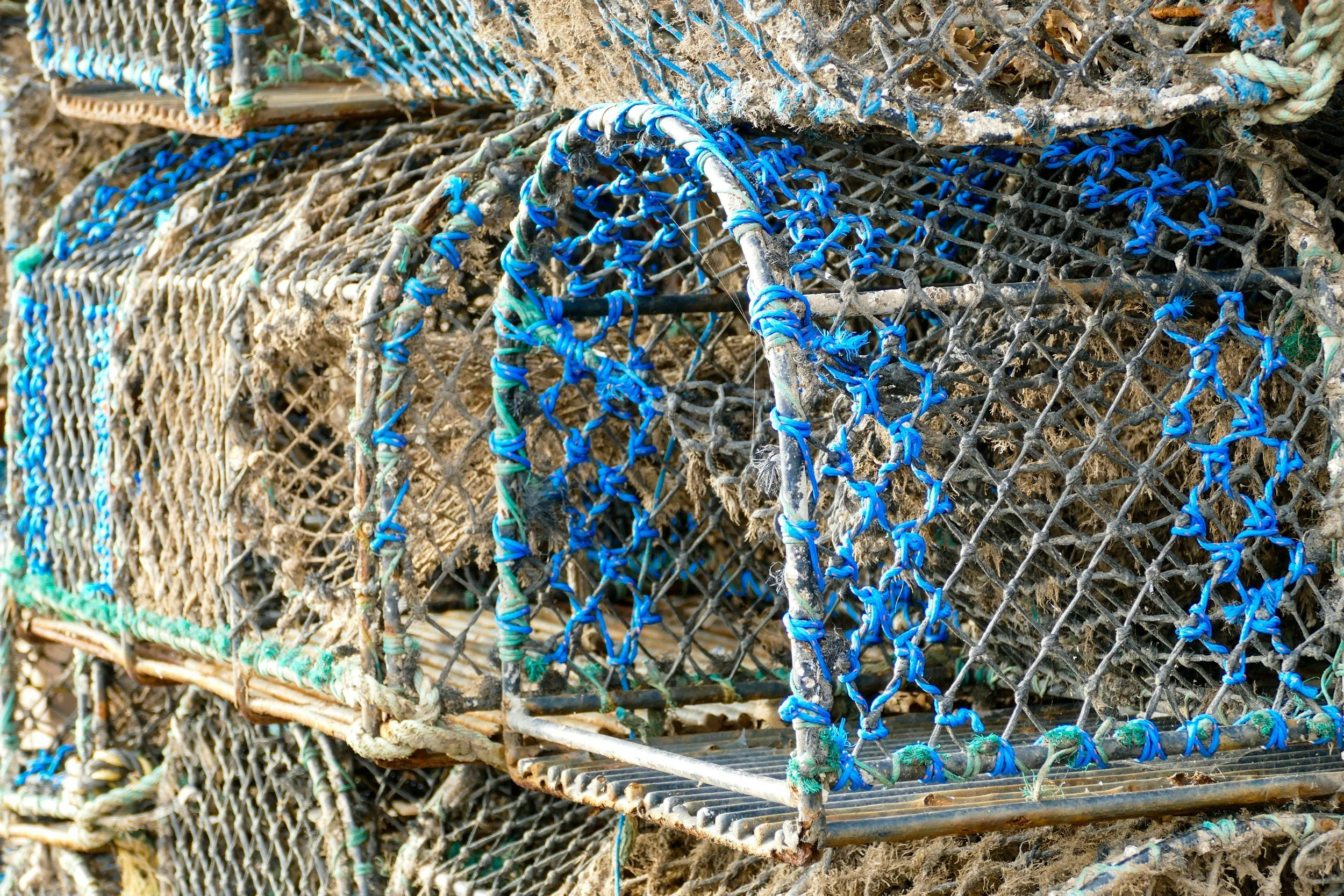 Recent Maine Employment Law Changes: What Employers Should Review Now