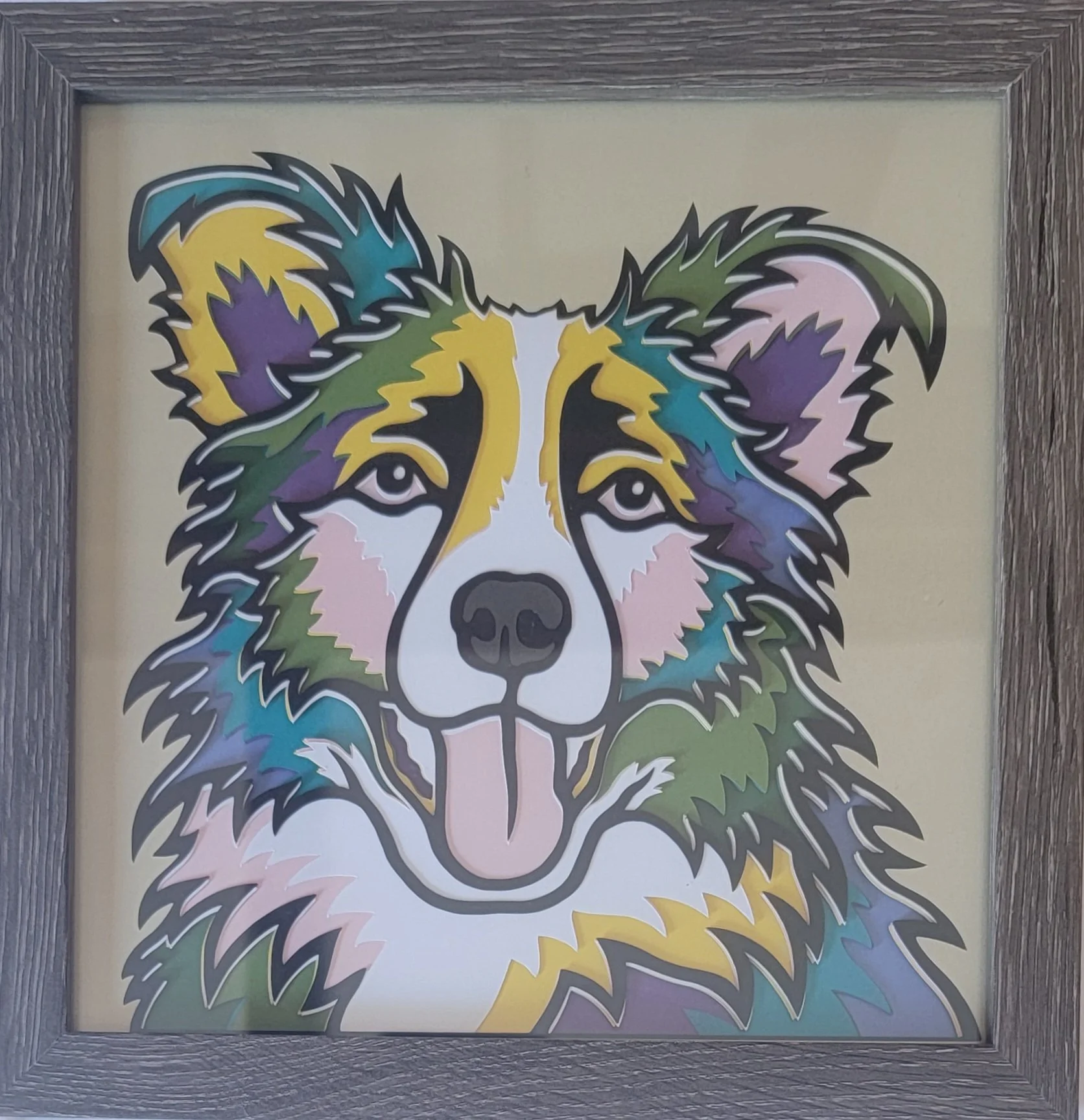 BORDER COLLIE GREY FRAME.jpg