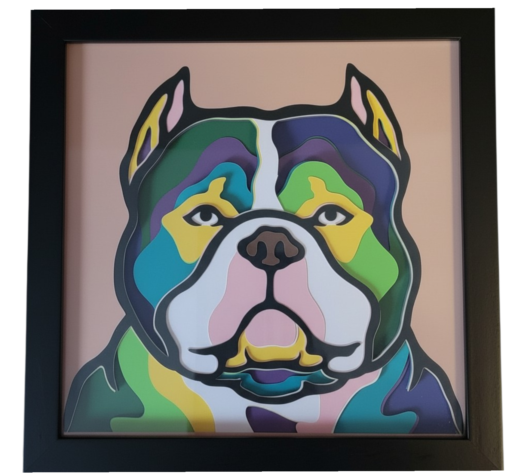 AMERICAN BULLY BLACK FRAME.png