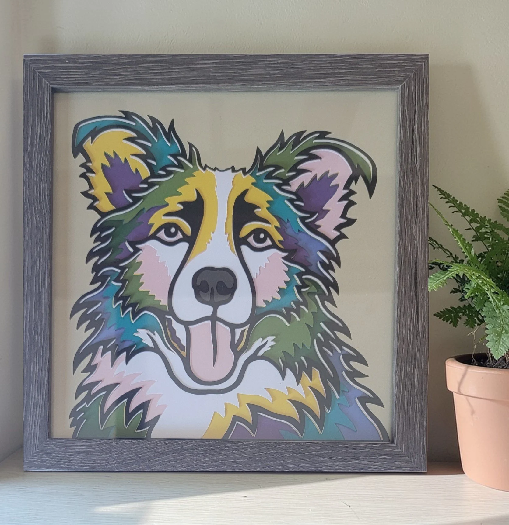 BORDER COLLIE GREY FRAME WITH PLANT.jpg