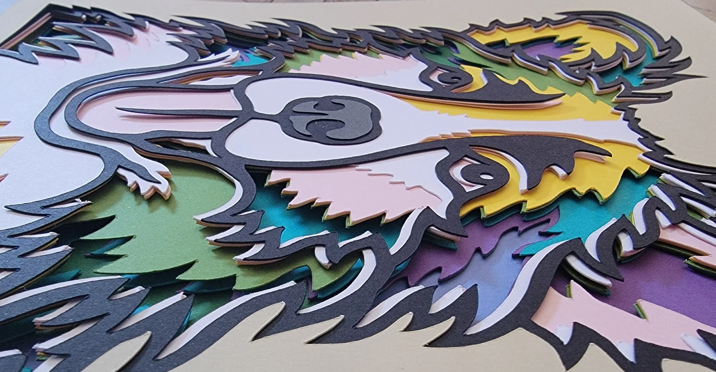 BORDER COLLIE DEPTH.jpg