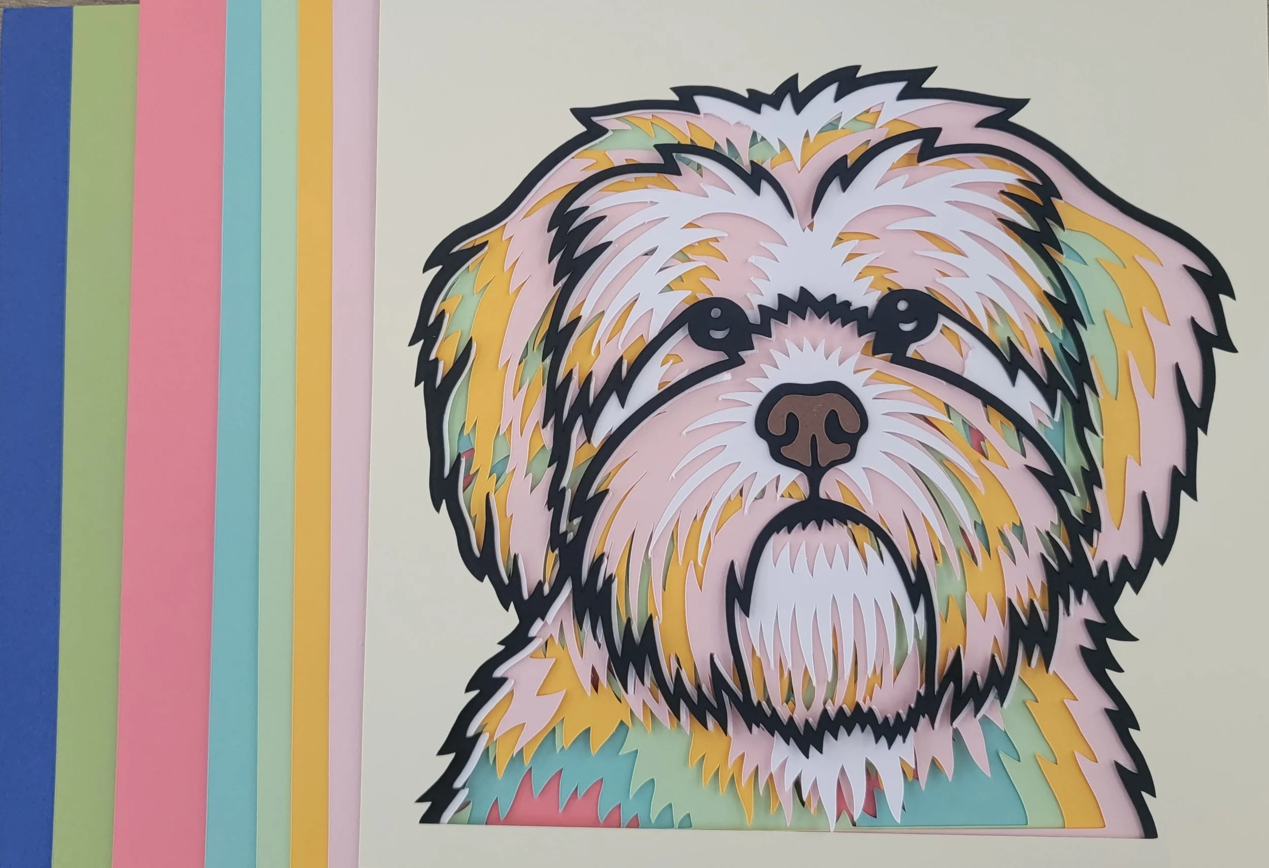 LHAPSO APSO LAYERS.jpg