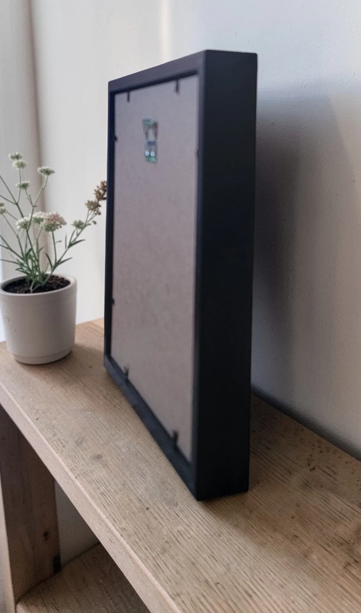 BLACK FRAME SIDE VIEW ROBINS (1).jpg