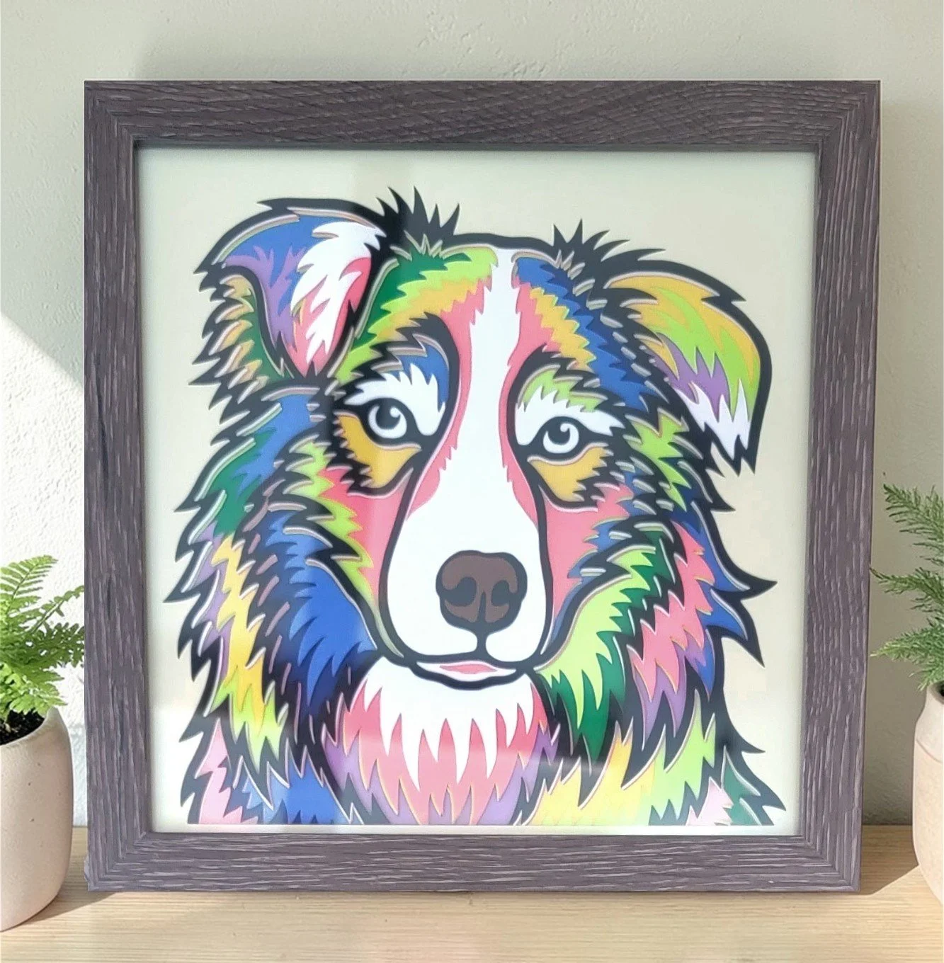 AUSTRALIAN SHEPHERD GREY FRAME WITH PLANT.jpg