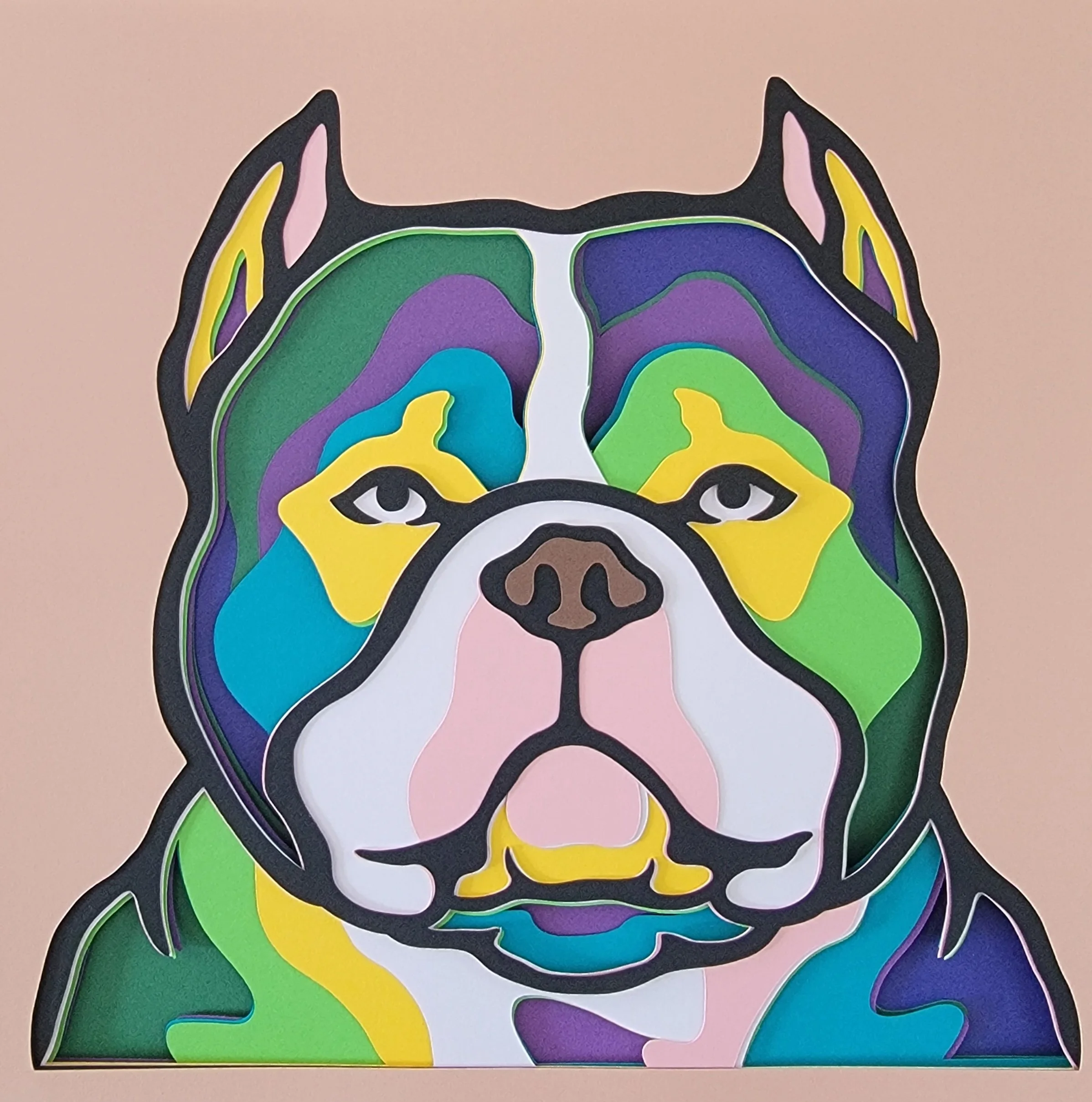 AMERICAN BULLY NO FRAME.jpg