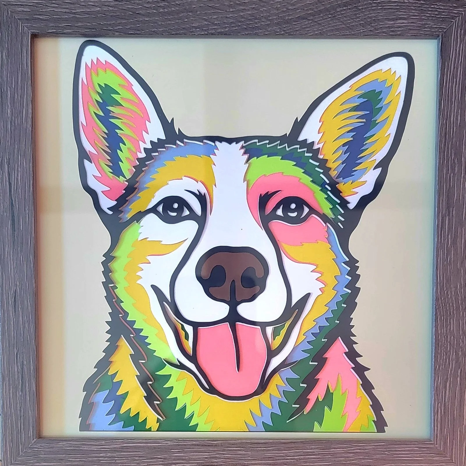 AUSTRAILIAN CATTLE GREY FRAME.jpg