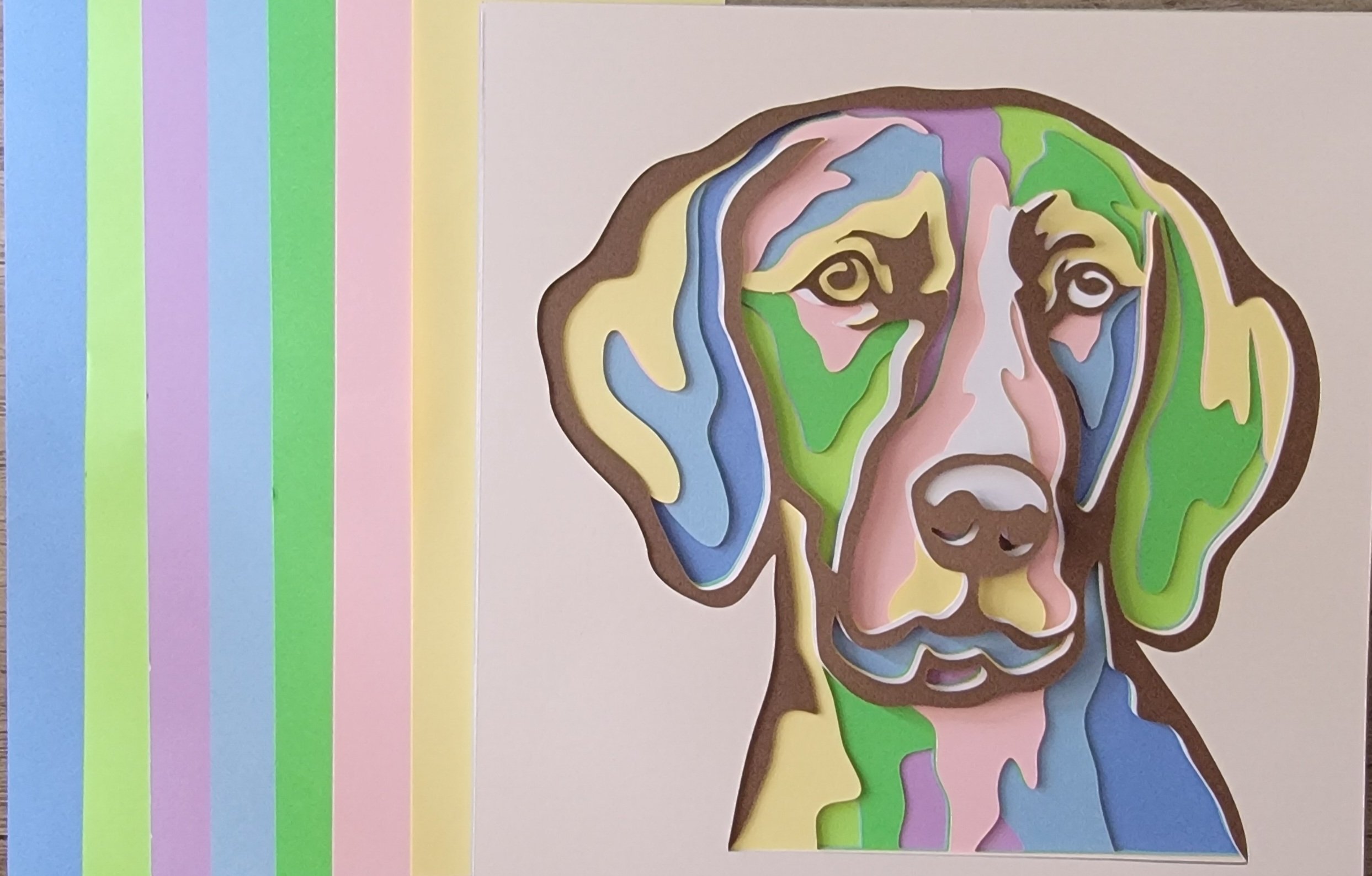 Weimaraner Colors.jpg
