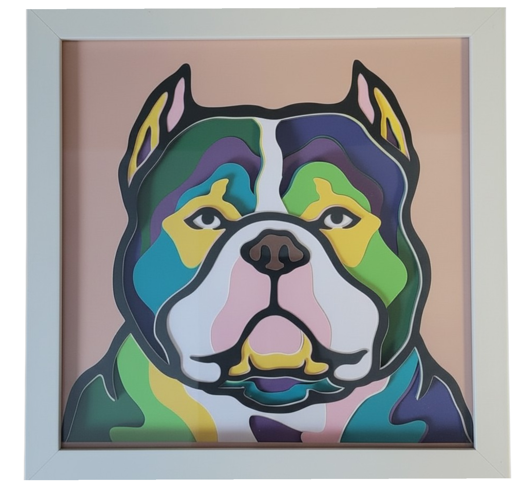 AMERICAN BULLY WHITE FRAME.png