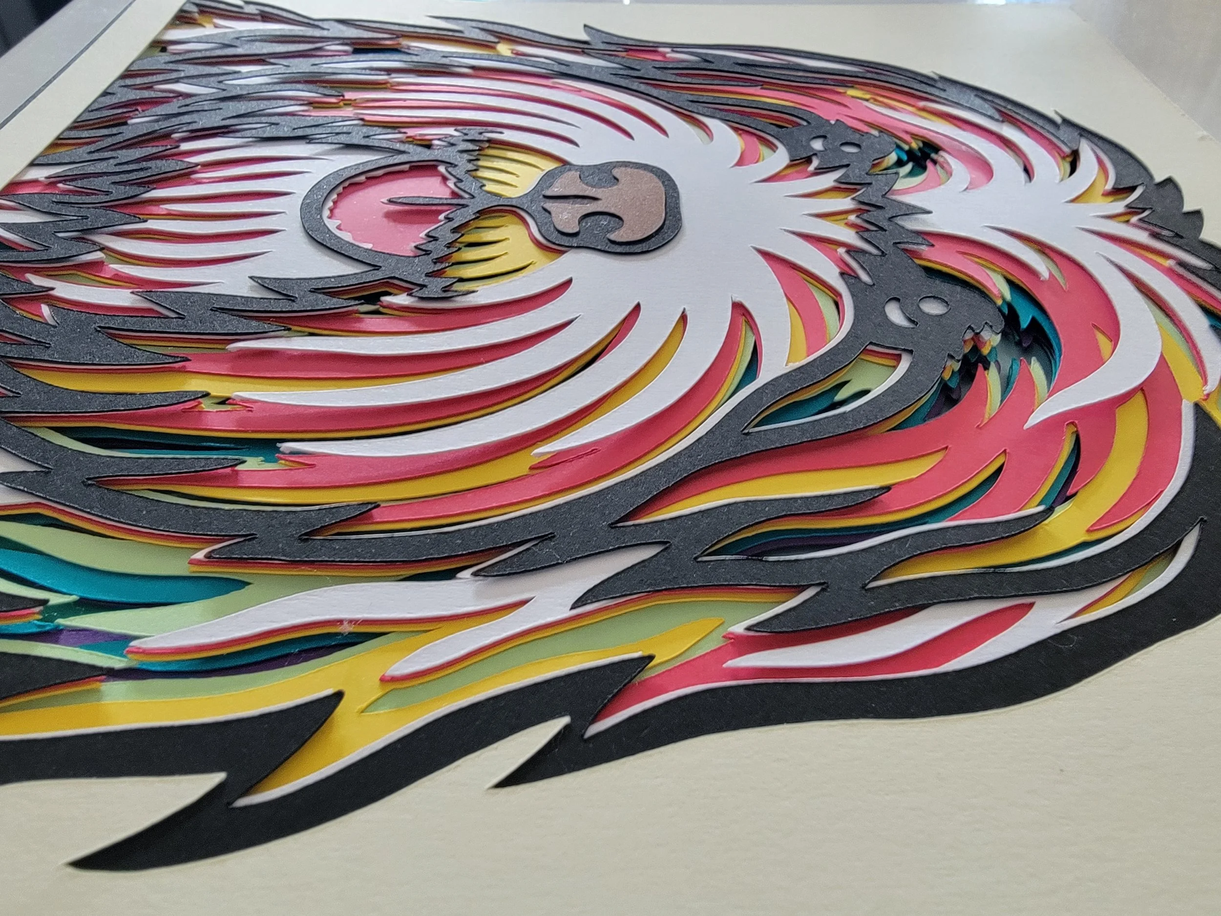 BEARDED COLLIE DEPTH.jpg