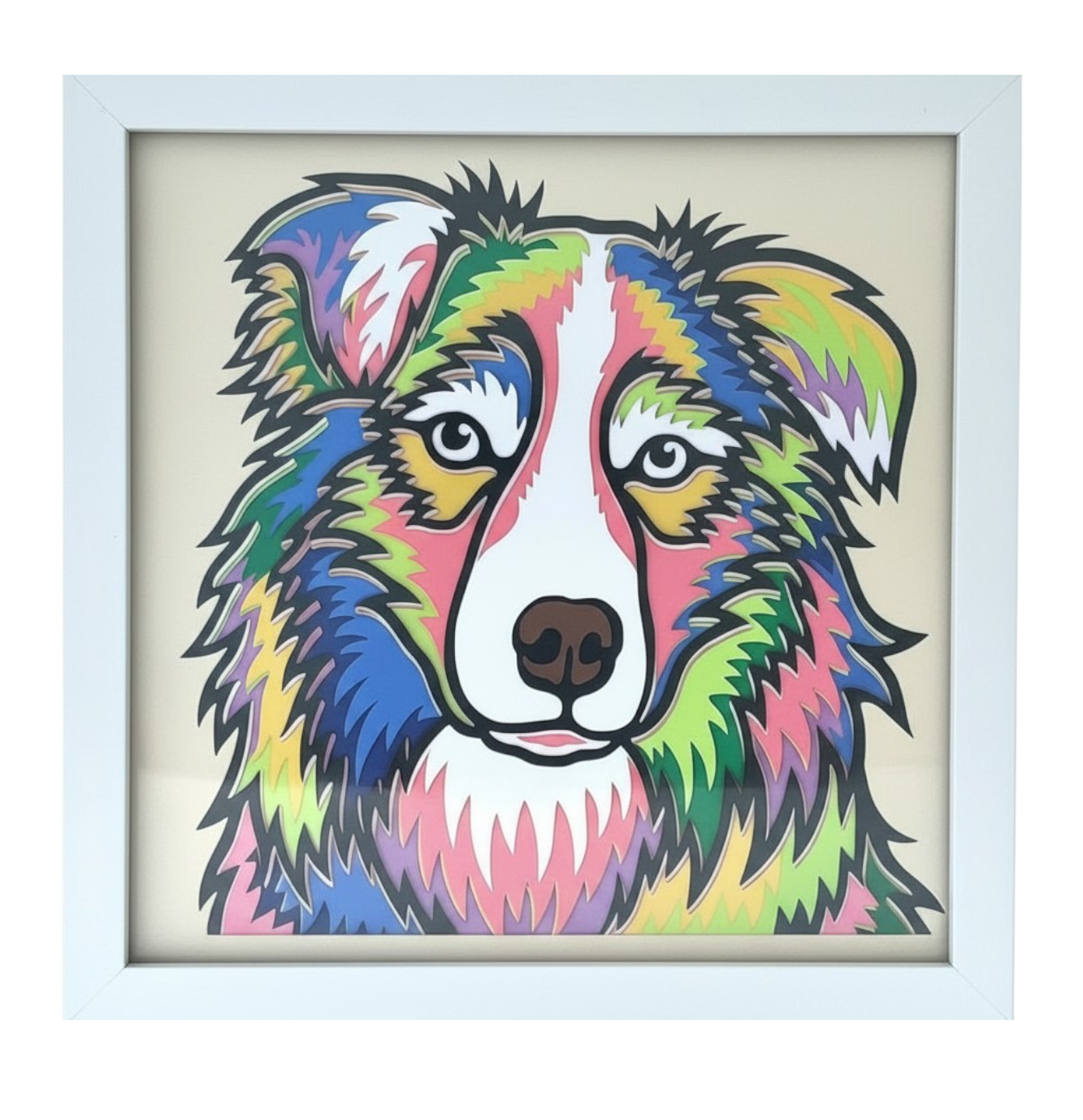 AUSTRALIAN SHEPHERD WHITE CLOSE UP.png