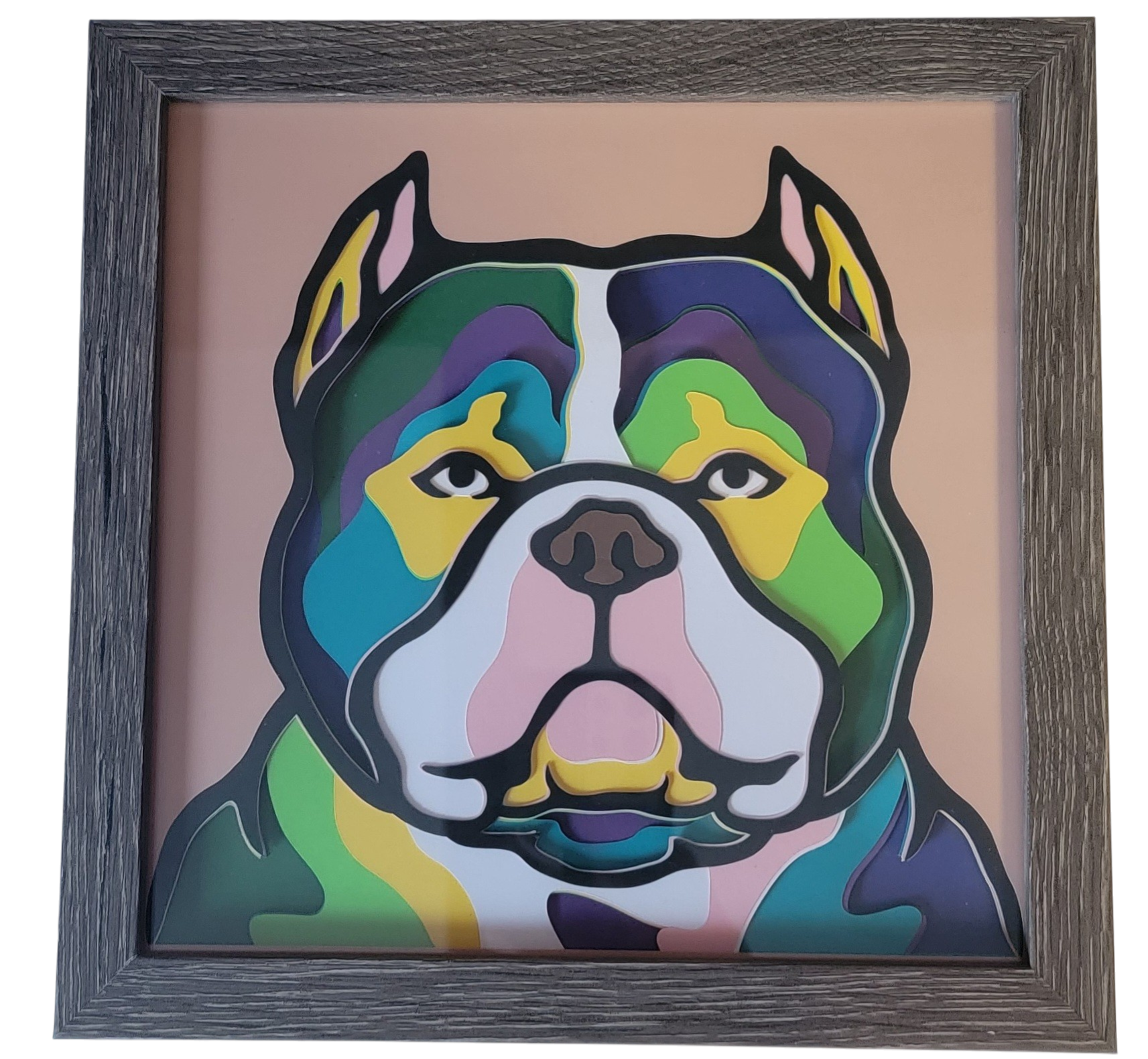 AMERICAN BULLY GREY FRAME.png