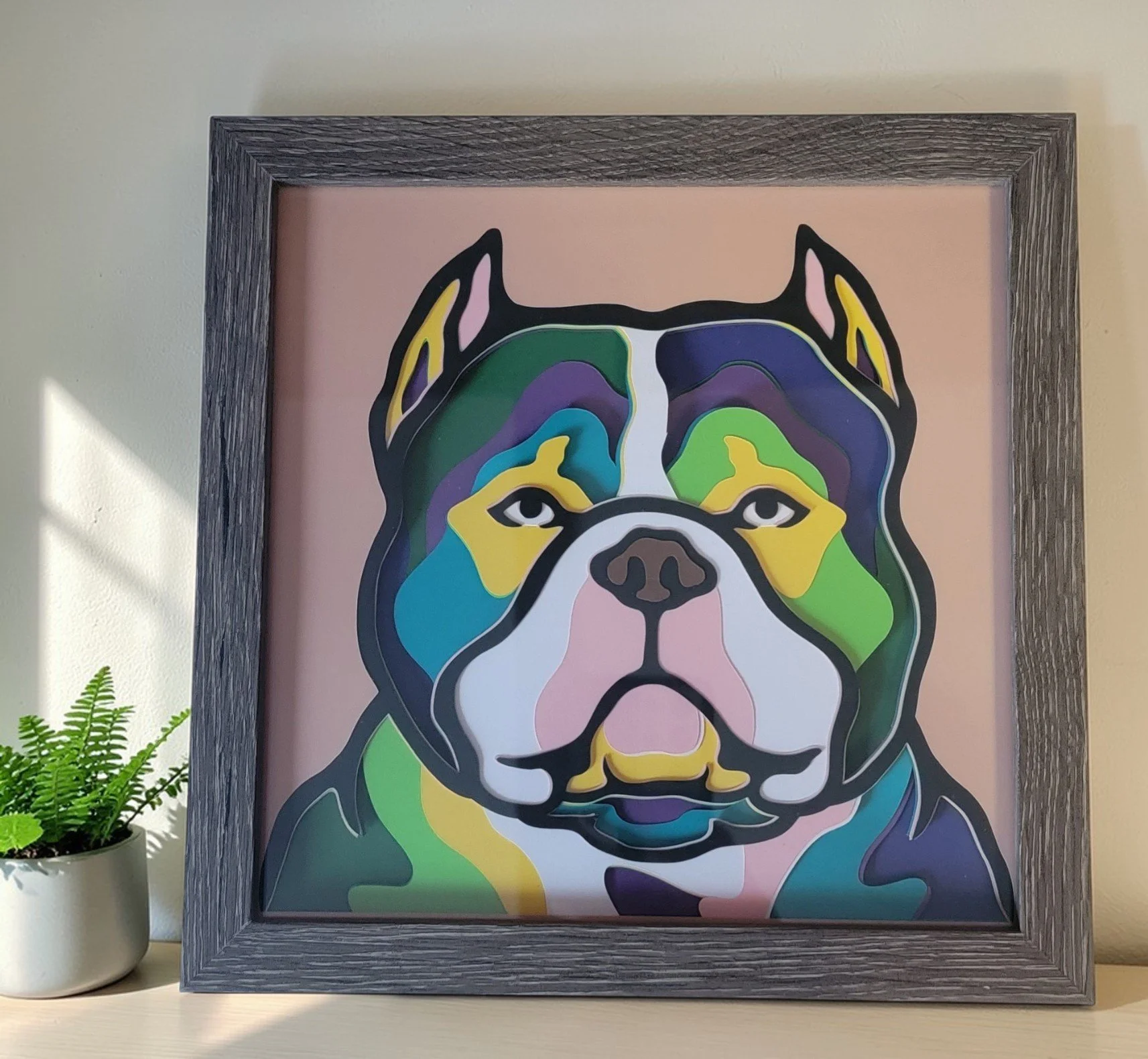 AMERICAN BULLY GREY FRAME WITH PLANT.jpg